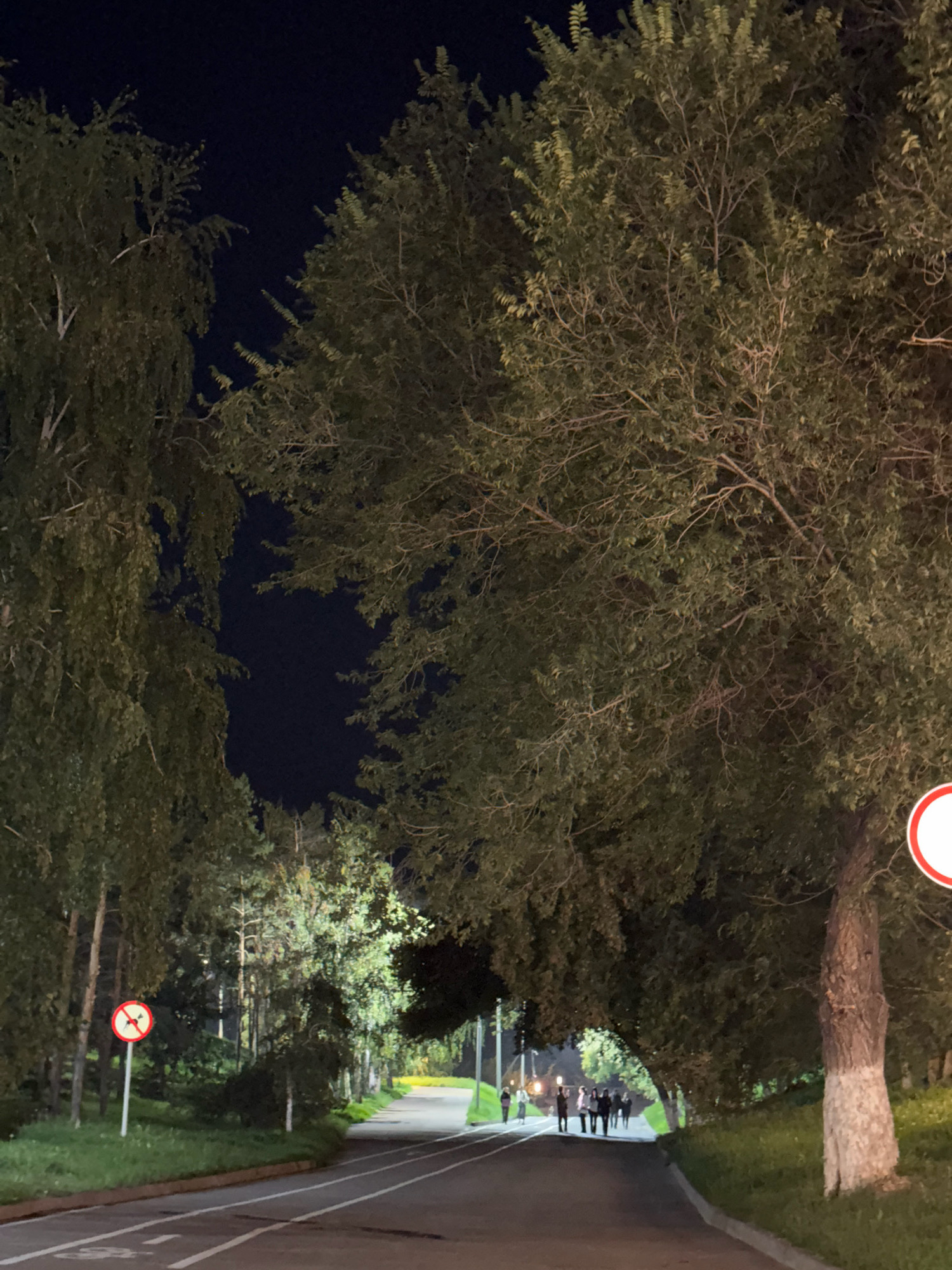 The image depicts a paved pathway through a park at night, with trees lining both sides of the path. The path appears to be a road or a wide walking trail, marked with white lines. Several individuals, appearing as silhouettes, are walking away from the camera down the path. On the left side of the path, a traffic sign with a red circle and a diagonal line over an image of what appears to be a bicycle is visible. The trees are lush and full of leaves, suggesting it is late summer or early autumn. The lighting suggests artificial illumination from streetlights or nearby buildings, casting a warm glow on some areas of the park. The sky is dark, indicating it is nighttime. The location is identified as a park in the city of Pavlodar, Kazakhstan.