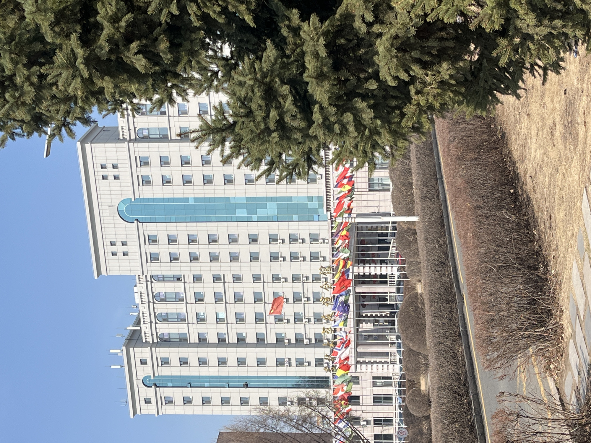 The image shows a building in Changchun City, China, with a facade adorned with numerous international flags. The building itself is a modern, multi-story structure with a light gray exterior, characterized by regularly spaced windows and a vertical strip of blue-tinted glass spanning several floors. The flags are displayed horizontally along the building's front, beneath an inscription in Chinese characters. The scene includes trees, with foliage partially obscuring the top of the building. To the right of the building, there are shrubs bordering the building's property, leading to what appears to be a paved area or pathway. The sky is clear and blue. The image appears to be taken during the daytime. The scene conveys an institutional or governmental presence, possibly an embassy or an international organization's headquarters.