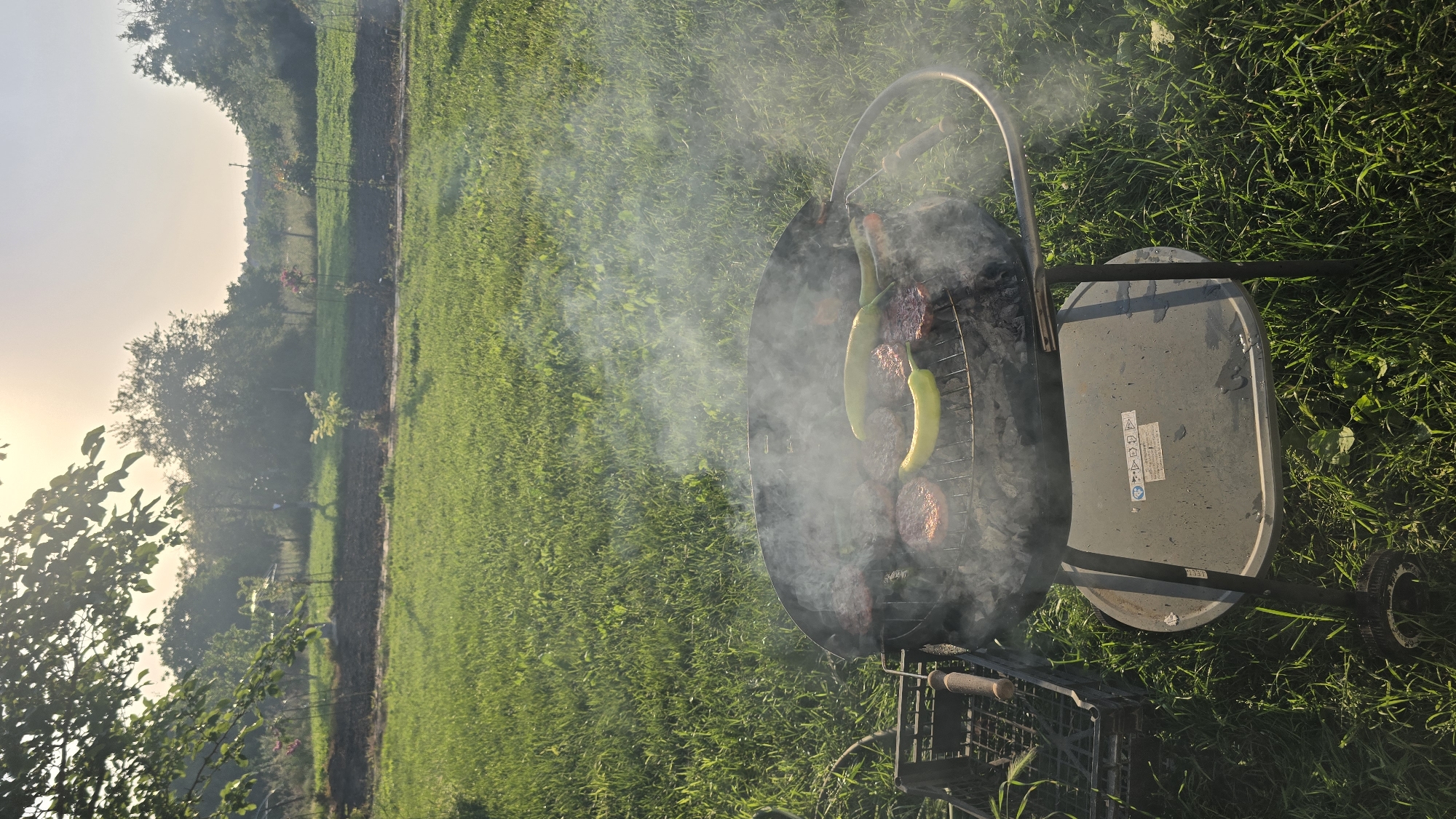 This image captures an outdoor scene in Rudnik, Bulgaria, featuring a charcoal barbecue in the foreground. The dark-colored grill is actively smoking, with several round burger patties and two light-green peppers cooking on the grate. Below the grill, a dark shelf and a wheeled leg are visible. To the left of the grill, a black plastic crate contains a tool with a wooden handle. The grill rests on a vibrant green lawn that extends into the midground. Beyond the lawn, a cultivated garden area is present, showing rows of dark earth and nascent vegetation, including small, staked plants. The background consists of dense green foliage from numerous trees under a bright, hazy sky. Sunlight streams from the upper left, casting a warm glow and lens flare. No individuals are visible in the scene.