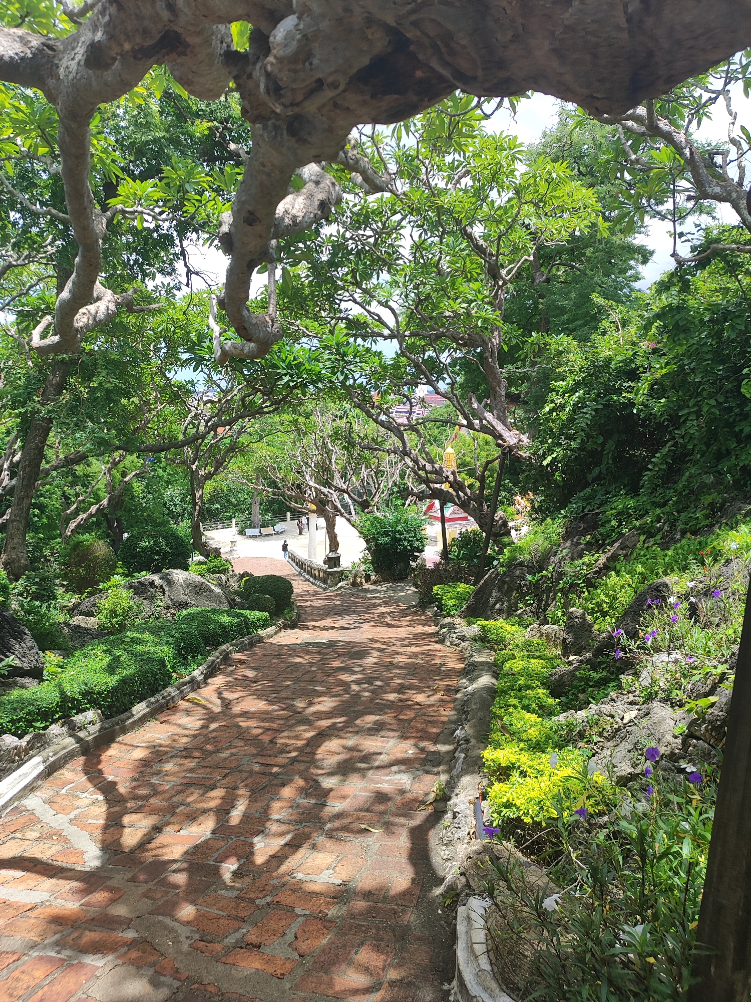 The image shows a brick pathway leading downhill, bordered by lush greenery and large trees with gnarled branches. Sunlight casts dappled shadows of the trees on the pathway. In the distance, there is a white paved area with benches and a few people are visible. A golden stupa-like structure with a red roof is also visible in the background, suggesting a temple or religious site. The overall impression is of a serene outdoor environment, possibly part of a temple complex. This location is likely within the grounds of Wat Khao Bandai It in Phetchaburi, Thailand, known for its extensive cave system and ornate temples.