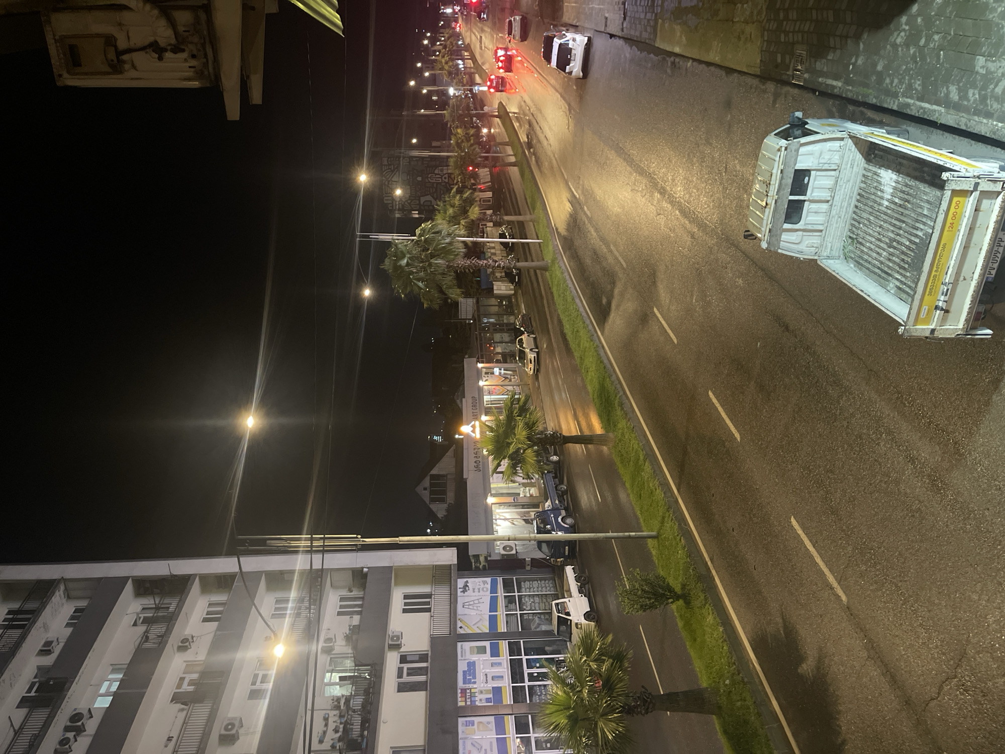 The image depicts a street scene in Batumi, Georgia at night. A multistory building with balconies and windows is visible on the left. In front of the building, there are storefronts, one of which displays advertisements for building materials. Several palm trees line the wet street, reflecting the light from street lamps and vehicle headlights. Various vehicles are present, including parked trucks and moving cars on the road. A white pickup truck with a yellow stripe and Georgian license plates is prominently featured in the foreground, parked on the right side of the street. The wet asphalt suggests recent rain. The scene is illuminated by streetlights and the lights from buildings and vehicles, creating a nocturnal urban atmosphere.