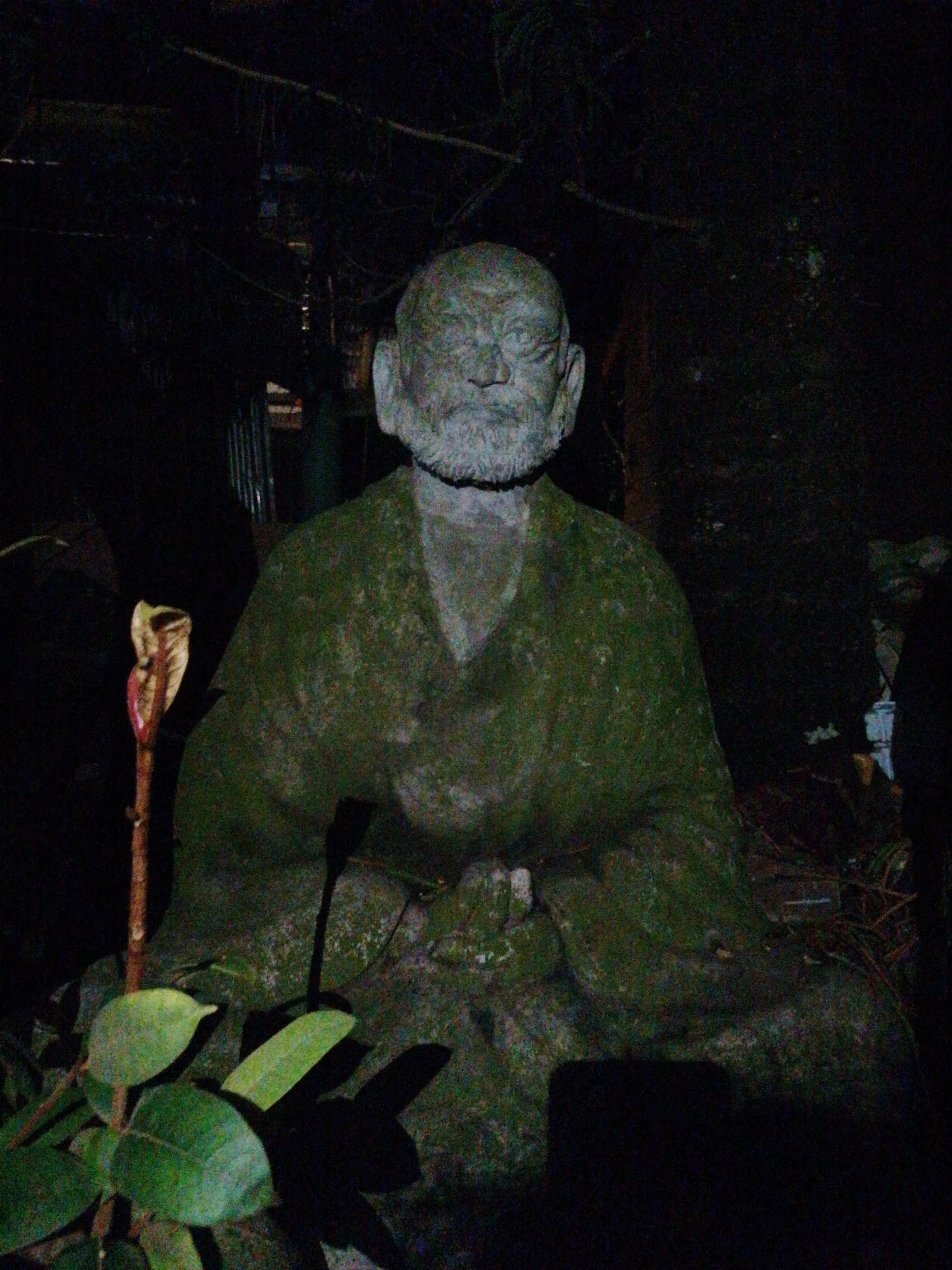 The image captures a stone statue of a seated figure, heavily covered in green moss, suggesting a considerable age and exposure to a humid environment. The statue depicts an elderly man with a prominent beard and a serene expression, facing forward. Its hands appear to be resting in its lap, though details are obscured by the moss and shadows.
The scene is set in extremely low light, likely at night, with the statue appearing to be illuminated by a direct light source or camera flash, which creates stark contrasts and deep shadows. To the left of the statue, a slender plant stem rises, topped by a distinctive, light-colored or reddish bloom that resembles a hooded spathe, possibly from an aroid plant. Further down and to the left, vibrant green leaves are visible, also catching the light and casting dark shadows on the ground.
The background is enveloped in near-complete darkness, with only faint, indistinct shapes suggesting dense foliage or possibly distant structures, contributing to a mysterious and secluded atmosphere. There is no discernible activity taking place. The mossy covering on the statue and surrounding plants implies an outdoor location, consistent with a garden or temple grounds in a humid climate like Da Lat, Vietnam. No visible text is present.