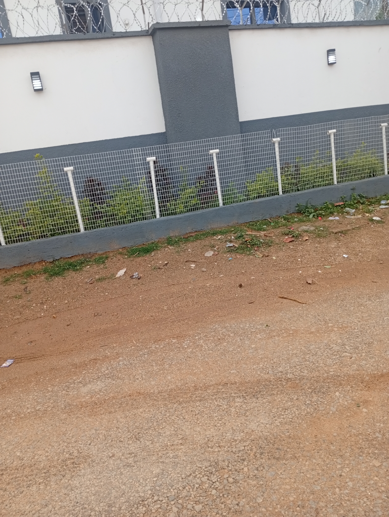 The image captures a section of a building's exterior and the adjacent ground. The building features a white upper wall with dark grey trim and a dark grey lower section. Razor wire is installed along the top of the building. Two rectangular outdoor lights are affixed to the white wall. A metal mesh fence runs horizontally in front of the building, behind which green vegetation is visible. The ground in front of the fence consists of a mixture of sandy soil and gravel, with scattered debris including small stones, leaves, and what appears to be plastic waste. The scene is devoid of people and any overt activity. The setting is consistent with an outdoor environment in Rafin Par, Nigeria, suggesting a residential or commercial property.