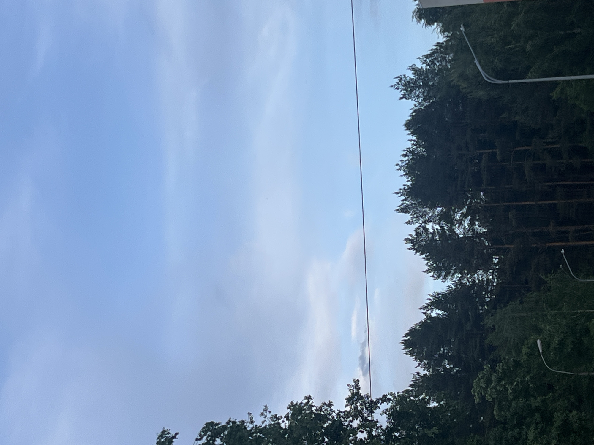 The image captures a vertical view of a street scene in what is presumably Chaikovsky, Russia, although that cannot be conclusively confirmed from the image alone. The dominant feature is the sky, transitioning from a lighter blue on the left to a more overcast grey-blue on the lower right. A thin, dark electrical wire stretches diagonally across the sky. The right side of the image is heavily populated with trees, including what appears to be a mix of deciduous and coniferous species. Several streetlights are visible amongst the trees, their curved arms pointing upwards. The lower portion of the image is bordered by the tops of more trees. There are no people or discernable actions visible in the frame.