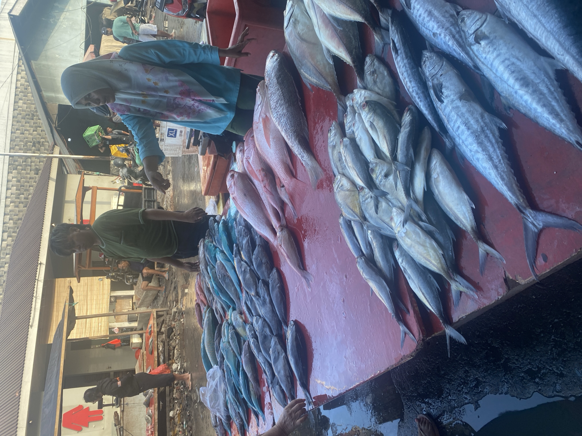 The image captures a bustling fish market scene in Manado, Indonesia. A woman wearing a light blue hijab and a patterned scarf is actively engaged, pointing and gesturing as if interacting with a customer or vendor. Beside her, a man in a green t-shirt stands, observing the surroundings. In the foreground, a large red table is laden with an abundant display of fresh fish, varying in size and color, from silvery to bluish-gray and reddish hues. Other individuals, including a person in black attire, are visible in the background, contributing to the lively atmosphere of the market. The environment appears to be an open-air market with stalls and structures suggesting a permanent marketplace. The ground is wet, indicating a recent washing or the natural dampness of a fish market. The overall impression is one of commerce and activity within a typical Indonesian fish market.