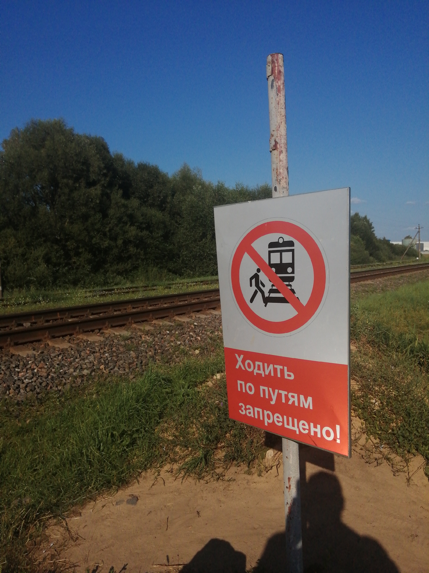 This is a medium shot of a warning sign near a railway track in Slonim, Belarus. The sign, mounted on a metal pole, has a red circle with a diagonal line over a black silhouette of a train and a person walking on the tracks. Below the symbol, in white Russian text on a red background, it reads "Ходить по путям запрещено!", which translates to "Walking on the tracks is prohibited!". The railway tracks are visible in the foreground, with gravel ballast and green grass growing alongside. A dense line of trees forms the background, with a clear blue sky above. The sun is casting shadows, including the shadow of a person taking the photograph.