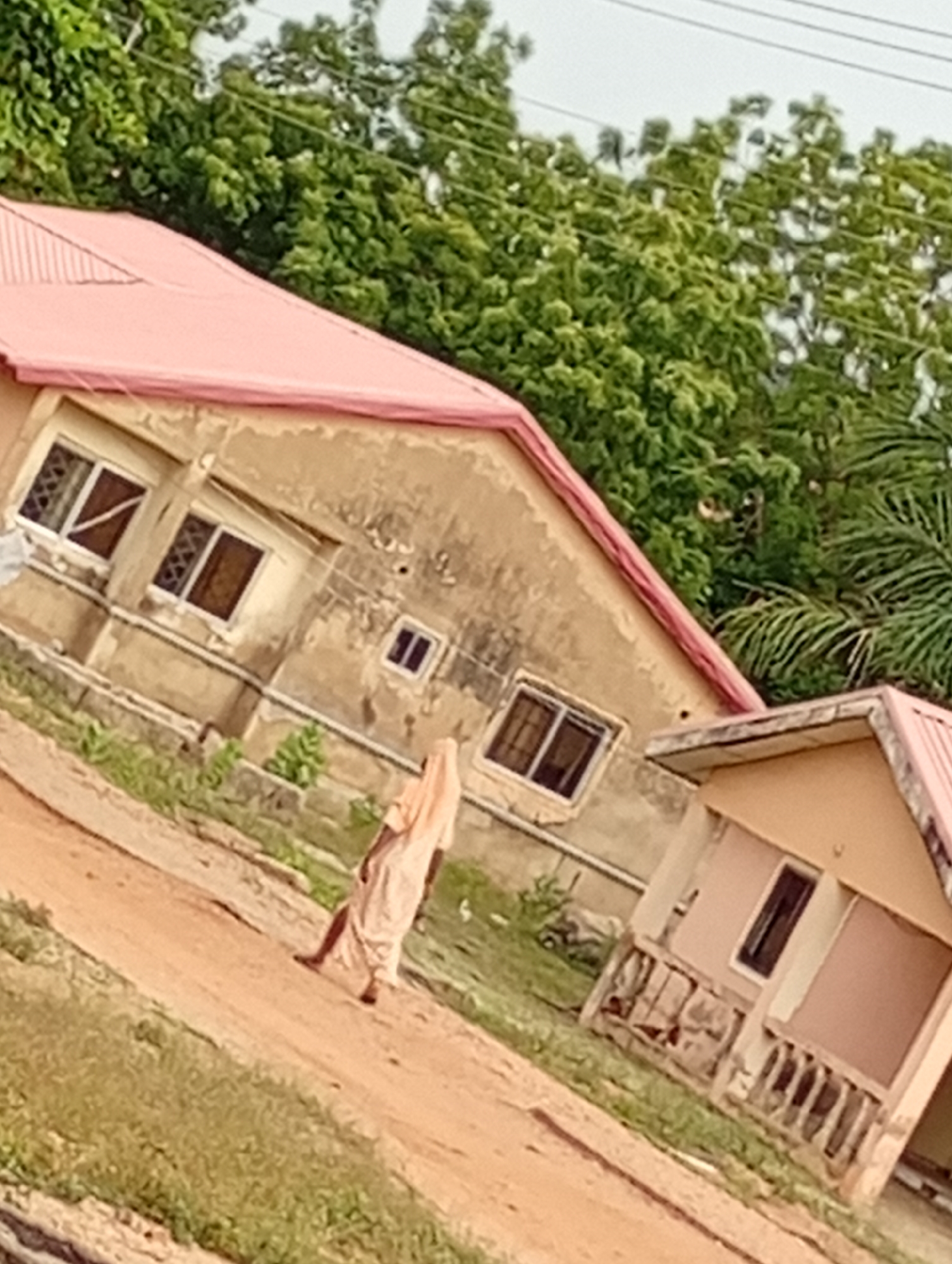 The image presents an outdoor scene in what appears to be a residential area in Adankolo, Nigeria. The photograph has a tilted perspective, showing a dirt path or road that diagonally crosses the lower and middle sections of the frame.
In the midground, a single person is walking away from the camera on this dirt path. They are dressed in a light-colored, long, loose-fitting garment, obscuring most of their body details.
Two buildings, likely houses, are prominent subjects. The larger building on the left features a reddish-pink corrugated metal roof and weathered or discolored light brown walls. It has several windows, some fitted with white frames and protective grilles or bars. To the right, a smaller, similar building is partially visible, also sporting a reddish-pink roof and a visible window, with a small porch or balustrade structure at its base.
Abundant green trees and foliage form the backdrop and surround the buildings, indicating a natural or semi-rural setting. Overhead, thin power lines are faintly visible against a bright sky, suggesting daytime. The lighting is diffused, implying an overcast day rather than direct sunlight. There are no visible signs of specific activities beyond the person walking, and no text is discernible within the image. The scene offers a glimpse into local architecture and daily life in the described location.
