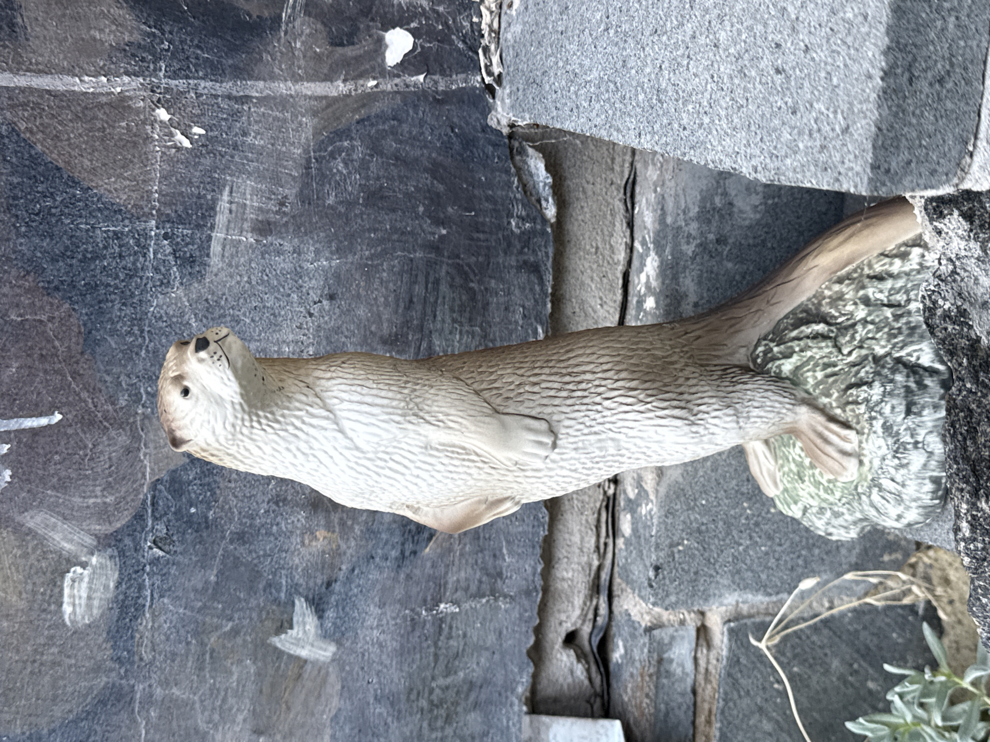 A plastic otter figurine stands upright on a mossy rock in front of a weathered, dark gray stone wall. The otter is light brown with white fur detailing, and its paws are positioned as if it is standing on hind legs. The wall behind the figurine appears to be made of rough, rectangular stones and shows signs of decay, with peeling paint or material in some areas. To the left of the figurine, a sprig of dry grass and some green foliage are visible. The overall scene suggests an outdoor setting, possibly a garden or yard, in Okhtyrka, Ukraine.