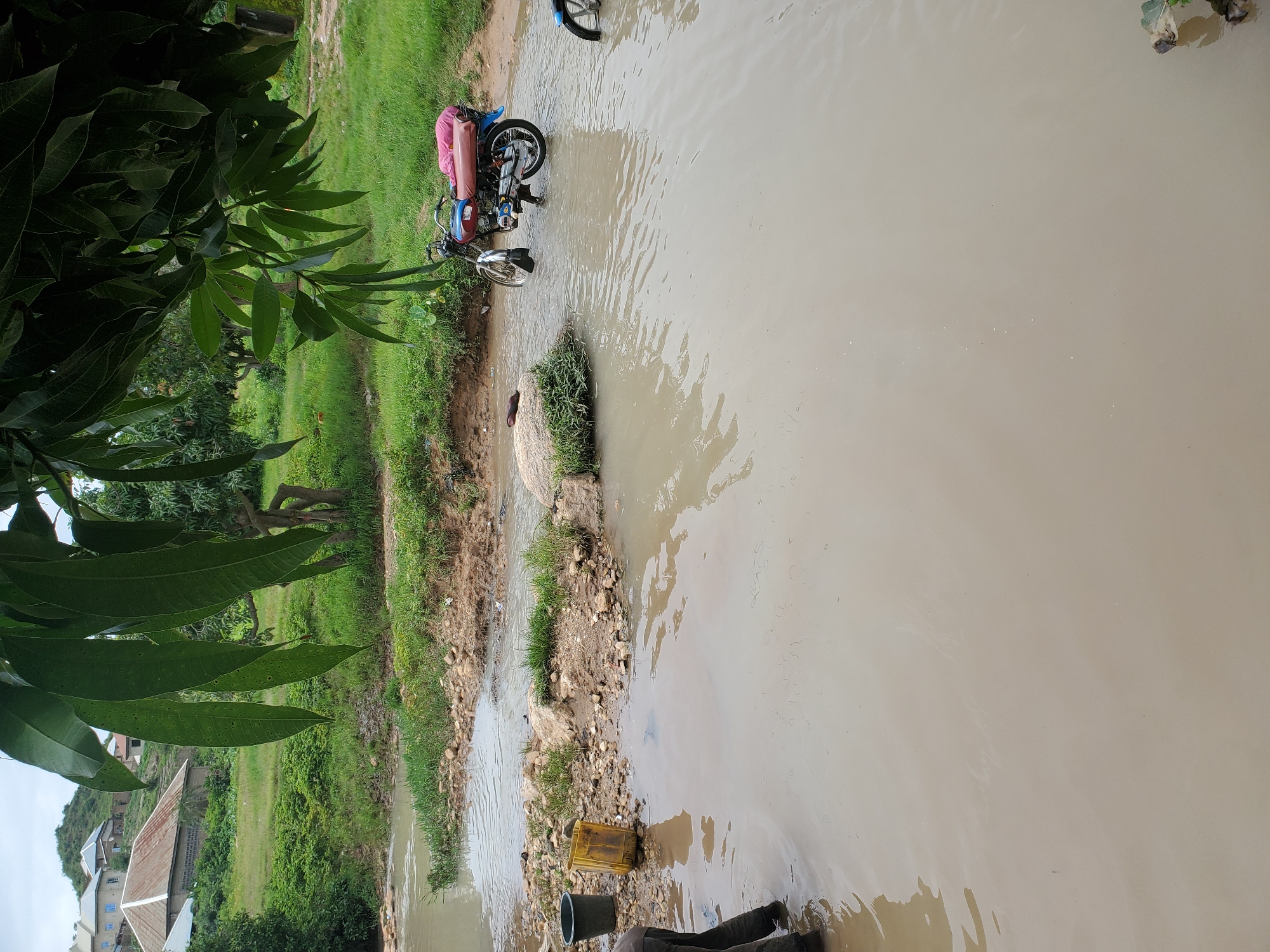 A muddy shallow river cuts through a grassy area, with a dirt road and scattered buildings visible on a distant hill. The foreground is dominated by the murky water, with a person's legs submerged on the left side. A black bucket and a yellow container are on the bank to the left of the water. A red and blue motorcycle, loaded with a pink bundle on its back, is parked in the river on the right. Another motorcycle's wheel is partially visible in the water on the far right. Lush green foliage hangs over the scene from the upper right.
