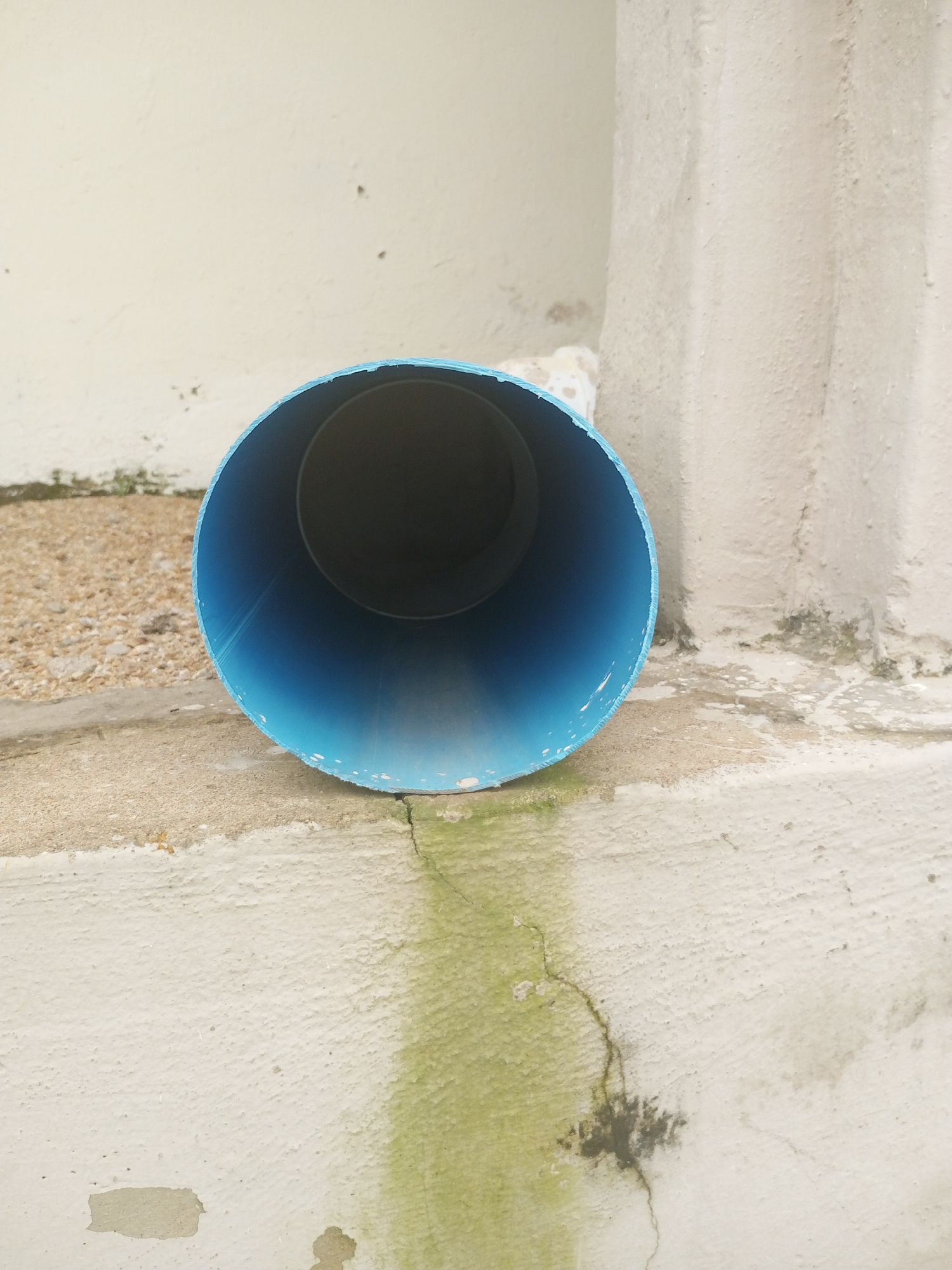 The image shows a blue pipe lying on a concrete ledge. The pipe is positioned horizontally, with its opening facing towards the viewer. The concrete ledge is stained with green algae and has a cracked surface. Behind the pipe, a textured wall is visible, appearing to be made of concrete. The overall environment suggests an outdoor setting, possibly in an urban or semi-urban area. The image does not contain any people or show any actions or interactions.