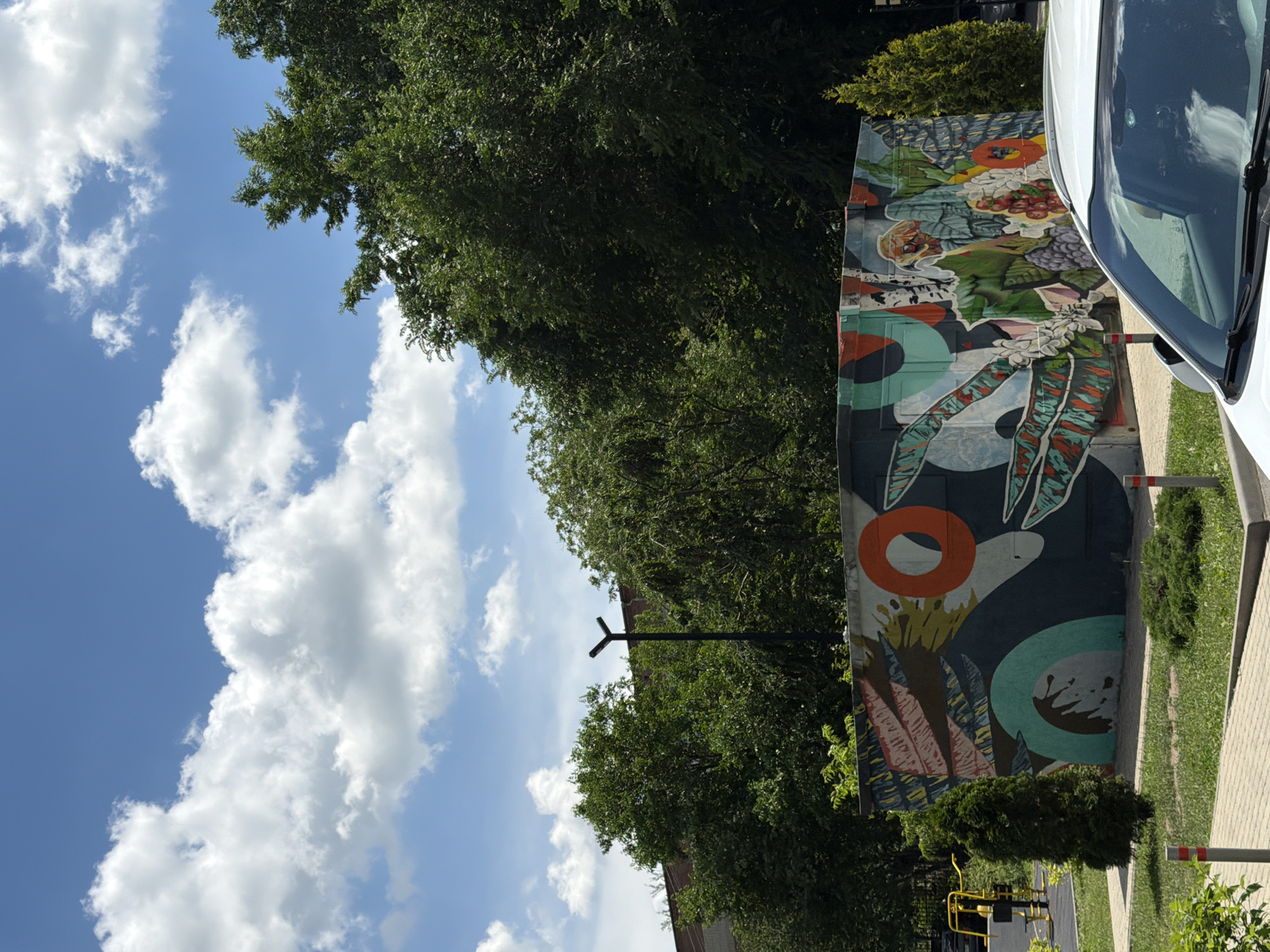The image depicts an outdoor scene on a bright, sunny day with a blue sky filled with white, fluffy clouds. In the foreground, the hood and windshield of a white car are visible, reflecting the sky. Adjacent to the car is a low, grey concrete structure adorned with a vibrant mural. The mural features an abstract, colorful design with elements that suggest organic shapes, such as leaves, flowers, and fruit, rendered in shades of green, orange, teal, and white, against a dark background.
To the left of the mural, a slender, dark green evergreen tree stands. Further left, a yellow public exercise machine is visible on a paved surface, suggesting a park or recreational area. Behind the mural, a dense arrangement of lush green trees forms a thick canopy, partially obscuring a brick building in the background. A black, modern-looking lamp post with a Y-shaped top stands among the trees, casting a shadow. To the right of the mural, another smaller, conical evergreen tree is present. The ground in front of the mural is covered with green grass and a paved pathway made of interlocking pavers. Small concrete bollards with red and white striped tops are placed along the edge of the pathway. The overall setting suggests an urban or suburban environment in Ovoshchnoy, Russia, characterized by a mix of public amenities, green spaces, and modern infrastructure.