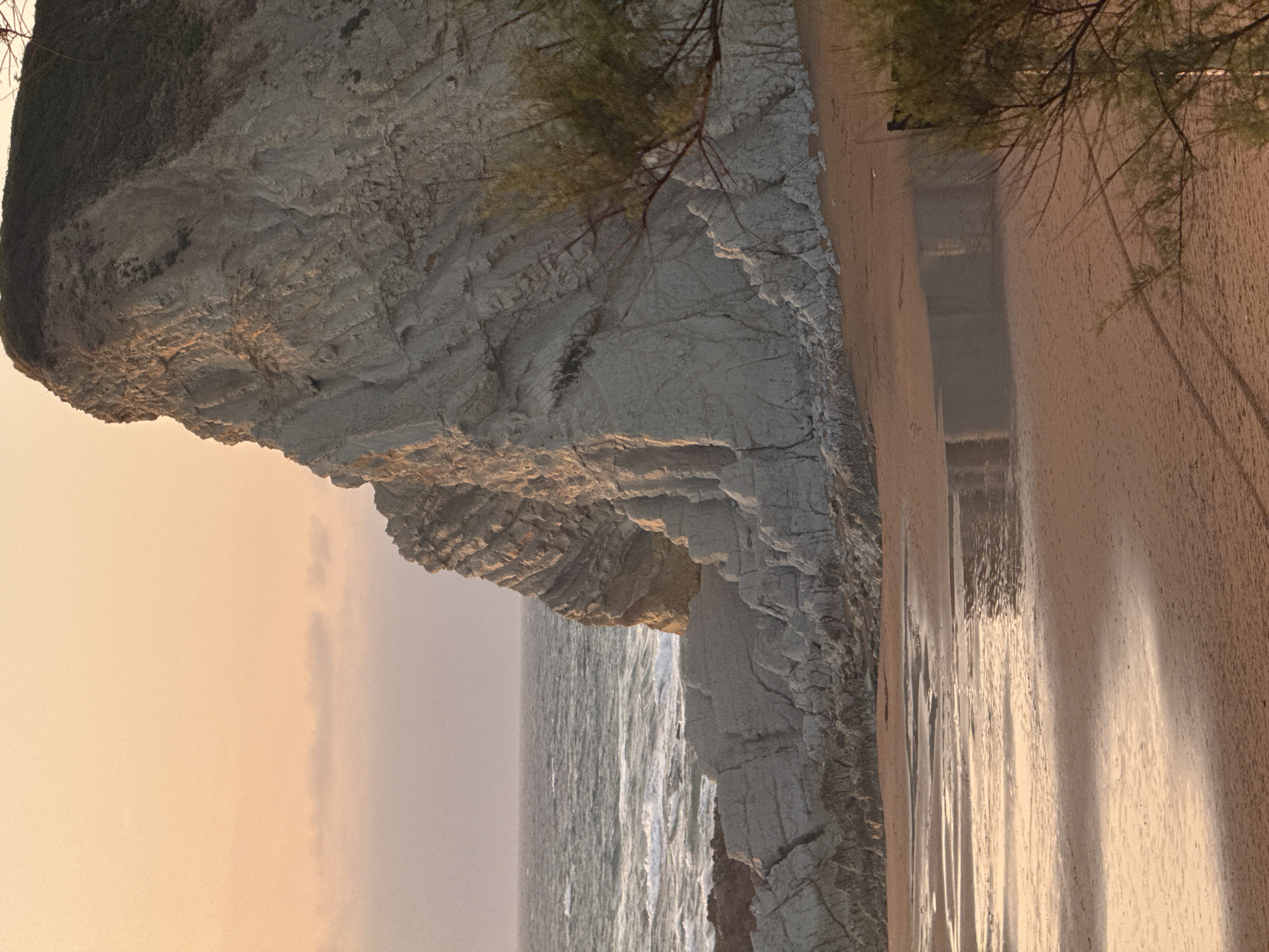 The image depicts a coastal landscape in Sopela, Spain, characterized by a large, rugged cliff face meeting the ocean. The sky is a soft, warm hue, indicative of either sunrise or sunset, with subtle cloud formations present. The sea is moderately rough, with visible waves and whitecaps breaking near the shore. The beach is composed of sand, with areas of shallow water reflecting the sky's colors, creating a shimmering effect. The base of the cliff is rocky and appears to be composed of layered sedimentary rock, with some vegetation growing on its upper slopes and near the shoreline. A few branches of a small tree or shrub are visible in the foreground on the right side of the image, partially obscuring the cliff. There are no people or animals visible in the scene. The overall atmosphere is serene and natural.