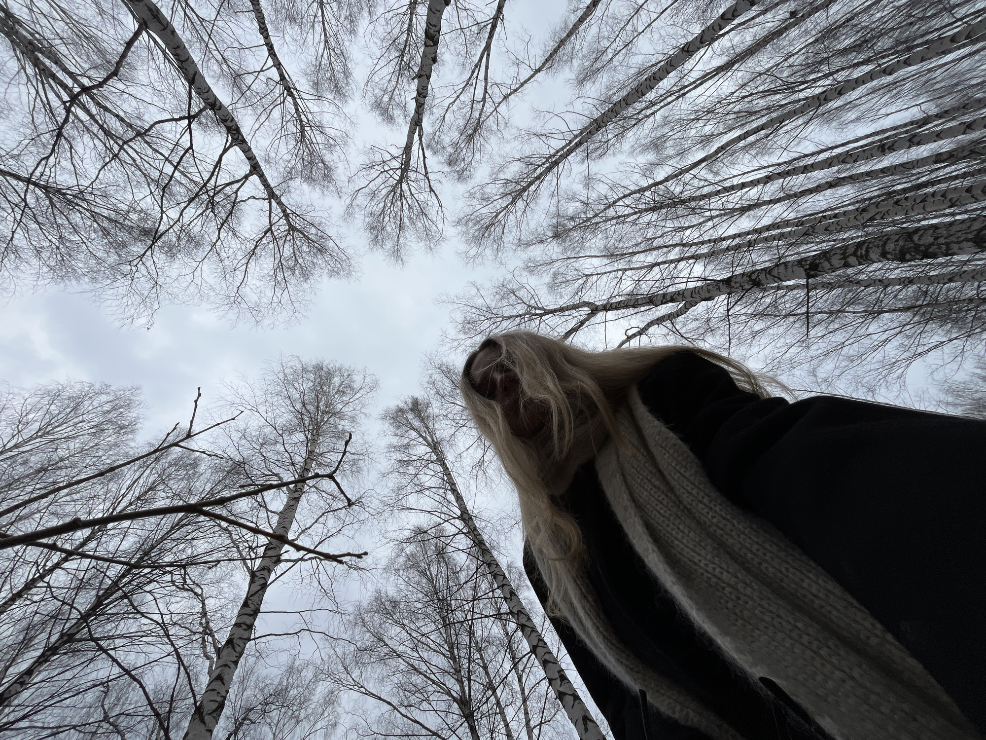 The image is taken from a low-angle perspective, looking upwards. Tall, bare trees, likely birch, dominate the view, their branches intertwining against a cloudy sky. A person with long blonde hair and wearing a dark coat and light-colored scarf is positioned centrally in the foreground, partially obscuring the view of the sky and trees. The location is Chaikovsky, Russia, indicated by the distinctive birch trees. The scene suggests a winter or early spring setting due to the leafless trees.