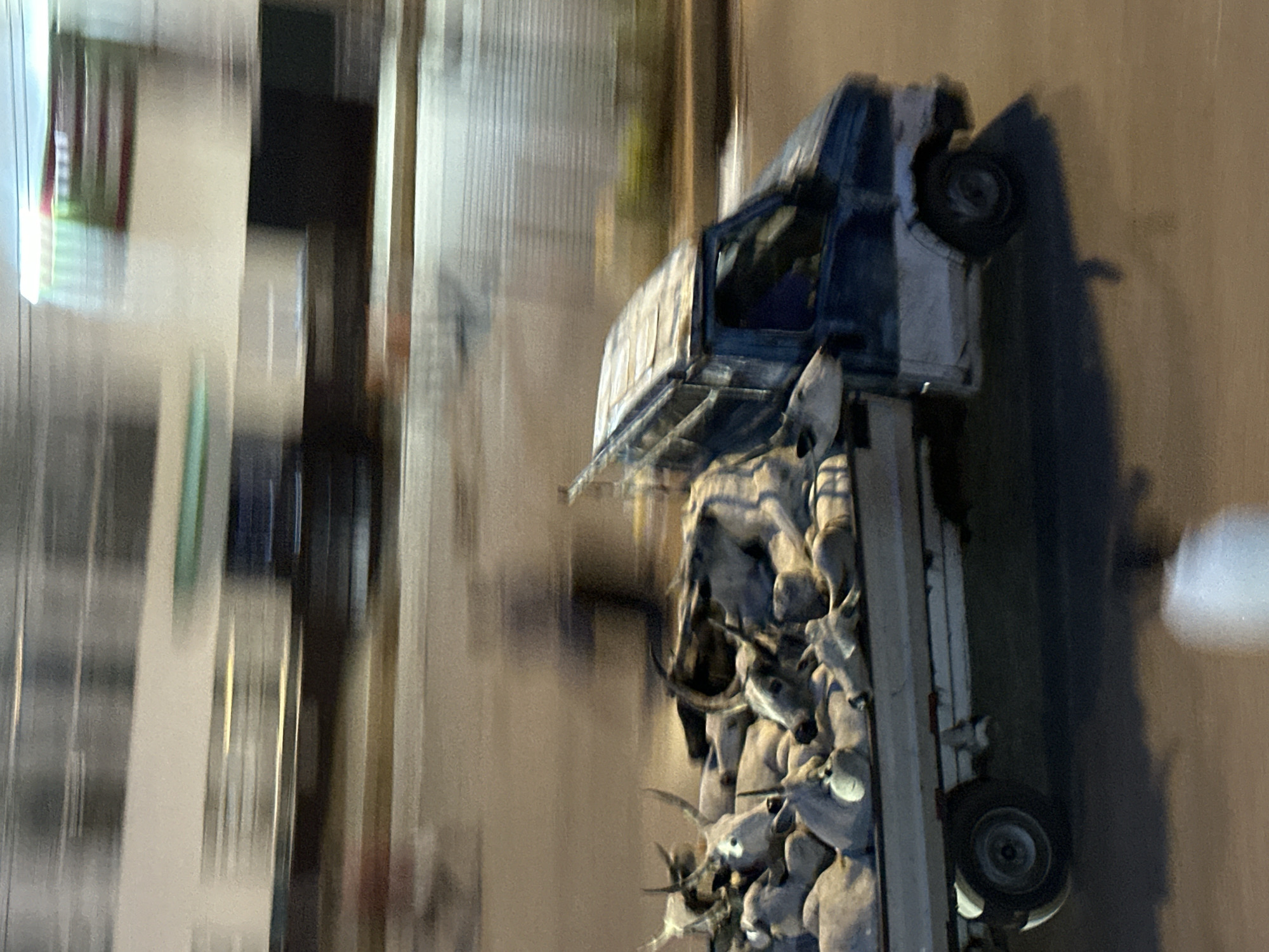 The image shows a truck filled with what appear to be deceased cattle. The truck is in motion, as indicated by the motion blur in the background and foreground. The cattle are packed tightly in the bed of the truck, with their heads and horns visible. The truck itself is a small, older model, possibly a pickup truck with a modified bed. The background suggests an urban or semi-urban environment, with buildings and streetlights visible. The overall impression is one of transportation of goods, likely for consumption or processing, in a somewhat rustic or developing setting. The image was taken in Bukuru, Nigeria.