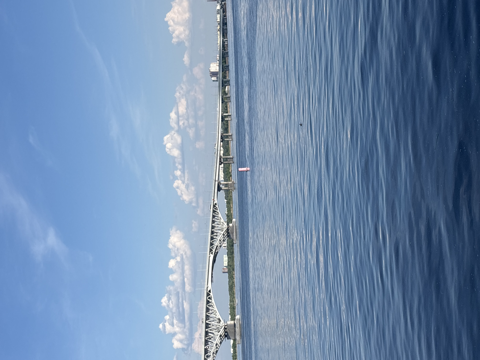 The image captures a wide, calm blue river on a clear day with a bright blue sky filled with scattered white clouds. A large, multi-span white bridge crosses the river horizontally, with vehicles visible on its roadway. On the far bank, a treeline is visible, with some buildings appearing behind it. In the foreground, the rippling surface of the river dominates the lower half of the frame. A single pink buoy stands vertically in the water, and a small dark bird is visible swimming in the distance on the right side of the frame. The scene is likely a view of the Volga River in Saratov, Russia, given the presence of the bridge and the urban and natural landscape.
