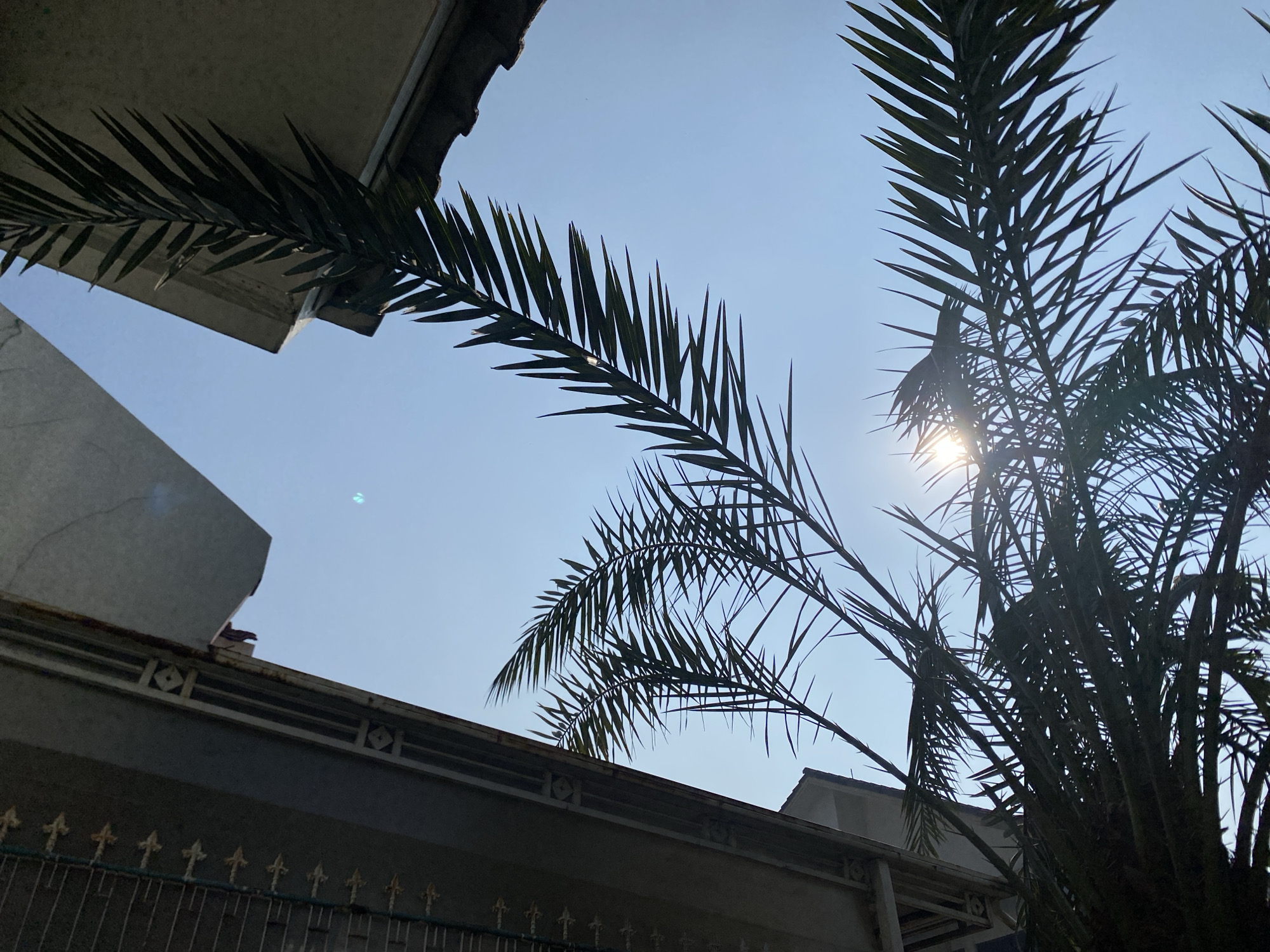 A silhouetted palm tree frond extends diagonally across a clear blue sky, with a house partially visible in the lower left quadrant of the frame. The sun shines through the frond, creating a lens flare effect. The house appears to be a two-story building with a concrete exterior and an ornate metal railing along the top of a lower section. The photograph was taken outdoors in Dukuh, Indonesia, during daylight hours.
