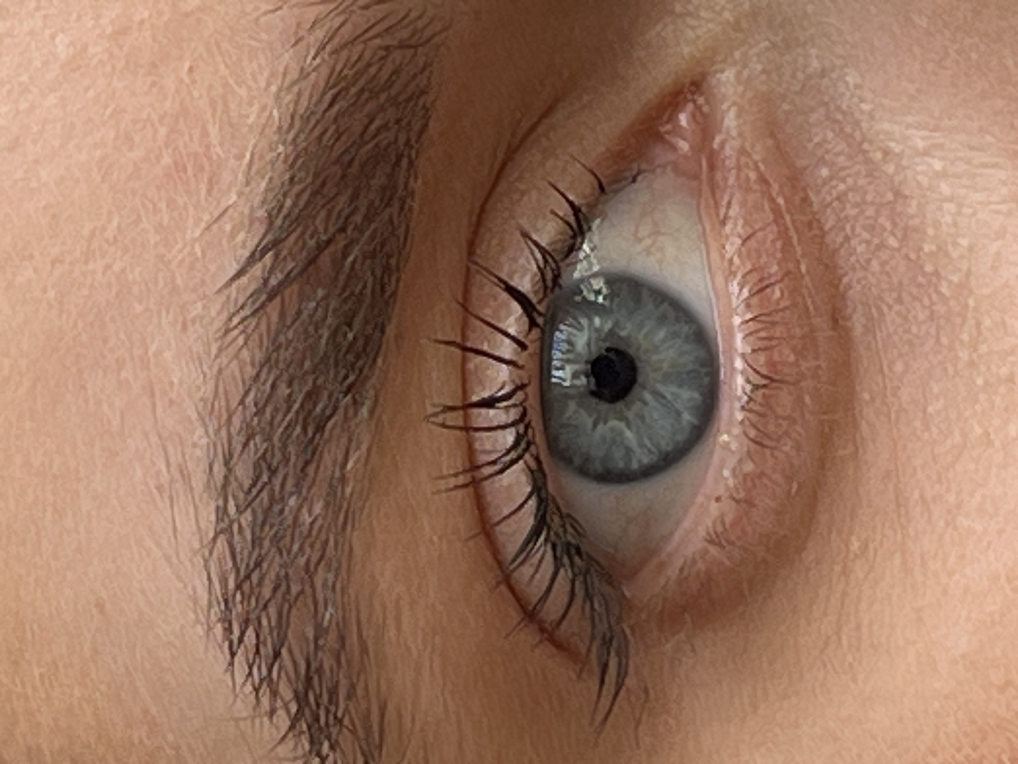A close-up, right-side view of a human eye and eyebrow. The eye is light blue with a black pupil. Dark eyelashes frame the eye. The eyebrow is dark brown and appears thick. The surrounding skin is fair and shows some texture. The image depicts no recognizable landmarks or characteristics to suggest it was taken in Ternopil, Ukraine, or any specific location.