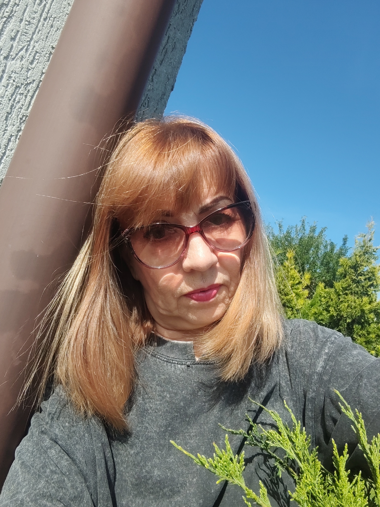 A medium-shot selfie shows a fair-skinned woman with auburn hair and bangs, wearing red-rimmed glasses and a dark grey t-shirt. She is outdoors on a sunny day, with a bright blue sky in the background and green trees. To her left, a brown downspout runs vertically alongside a textured grey wall. In the foreground, a sprig of green evergreen branches is held up in front of her chest. The overall impression is that of a casual outdoor portrait.