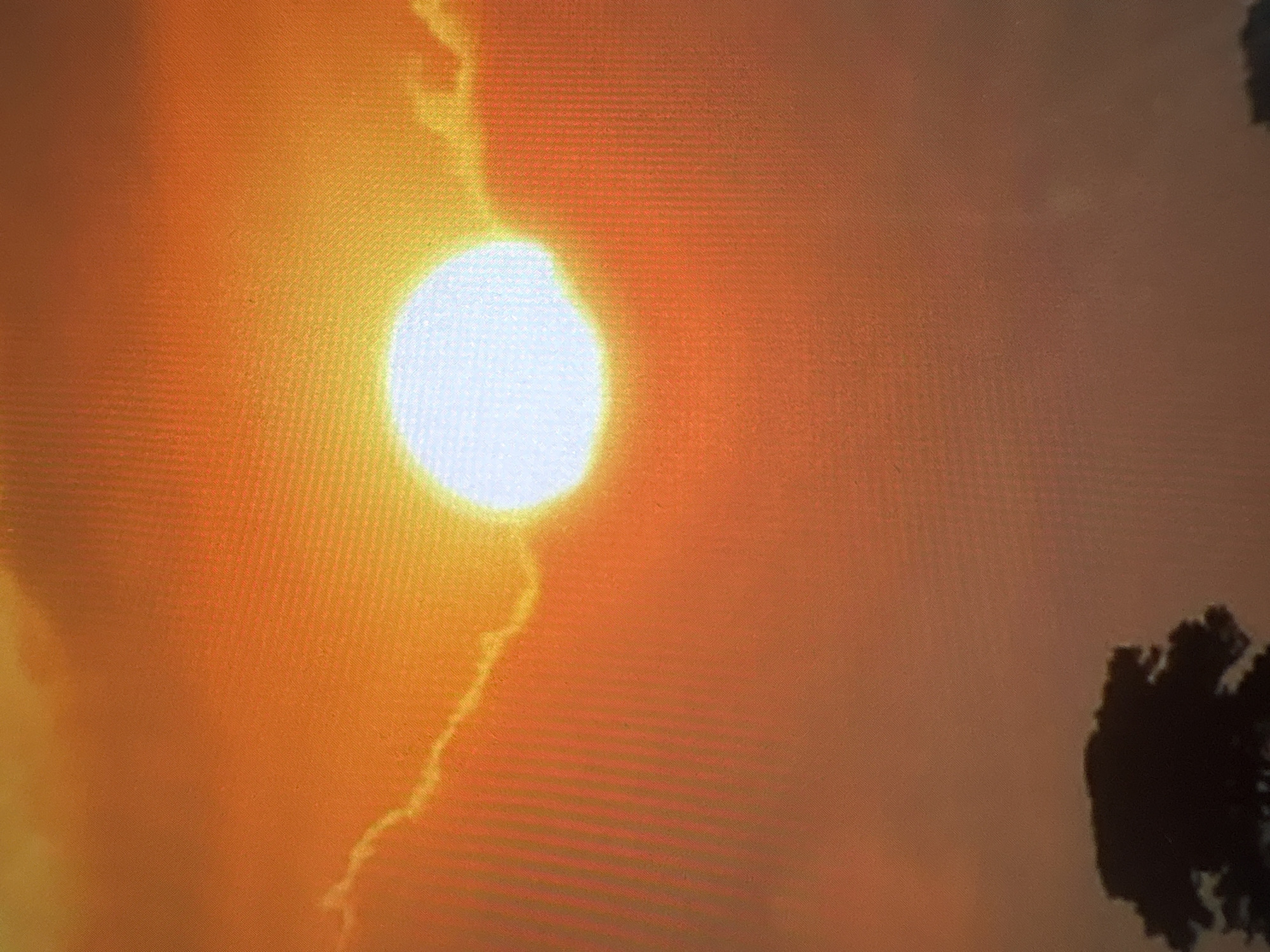 The image shows a bright sun partially obscured by clouds in an orange-tinted sky. A dark silhouette of a tree is visible in the lower right corner. The location is unknown.