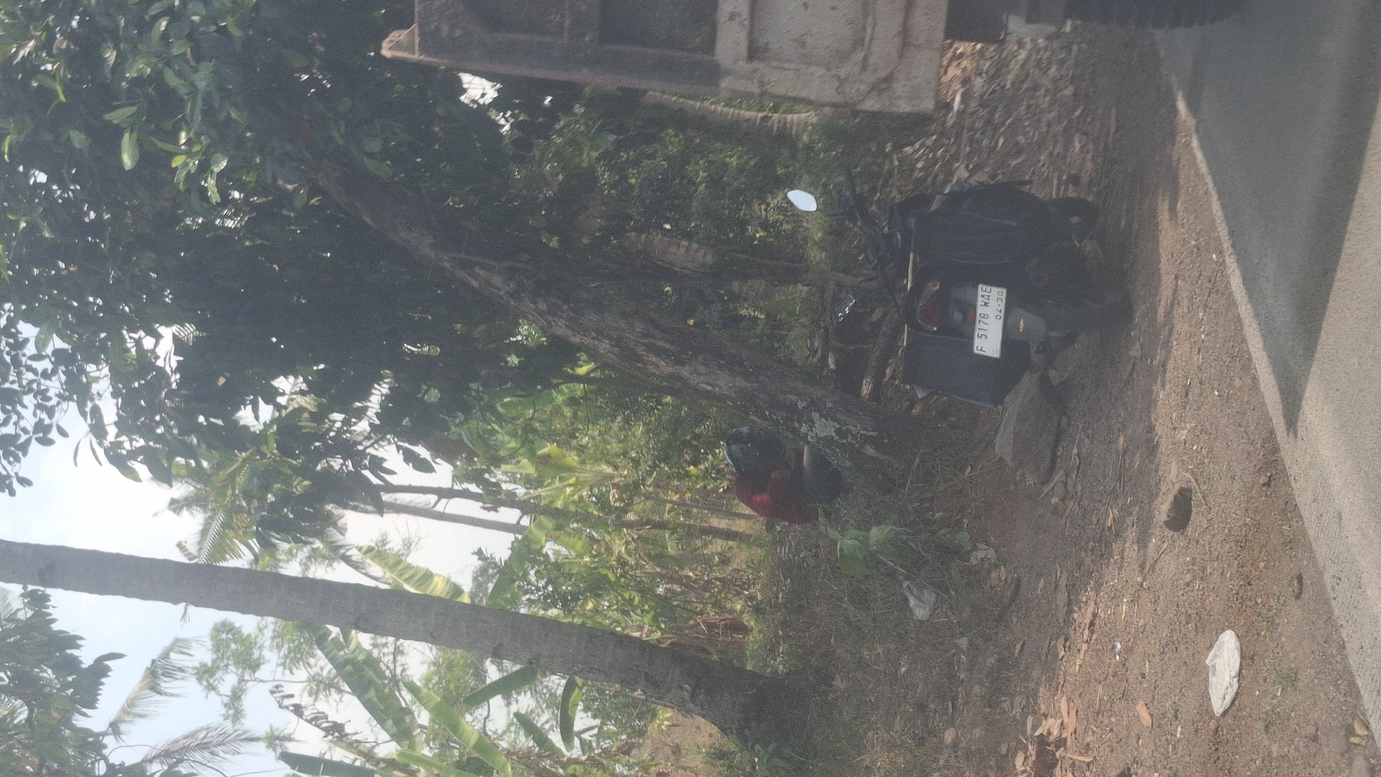 In Sirnagalih, Indonesia, a person wearing a red shirt and black helmet is crouched by the base of a large tree. A dark-colored motorcycle with a license plate reading "F 5178 WAE" is parked on the side of a dirt road. The scene is characterized by dense vegetation, including palm trees and banana plants, and a portion of a truck is visible on the right side of the frame. The ground is covered in dirt, small stones, and some scattered debris, including a white plastic bag. The lighting suggests it is daytime.