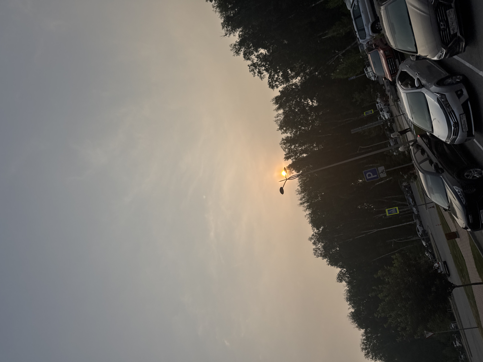 The image captures a view of a parking lot adjacent to a wooded area during sunset. The sky is hazy with the sun peeking through the trees, casting a warm glow. Several cars are parked in the lot, including a black SUV in the foreground, a silver sedan, a red sedan, and various other vehicles further back. A streetlamp with a light fixture is visible on the right side of the frame. Pedestrian crossing signs and a parking sign are also present. A person is walking in the distance near the parked cars. The scene is situated in Koltsovo, Russia, as indicated by the license plate visible on one of the cars.