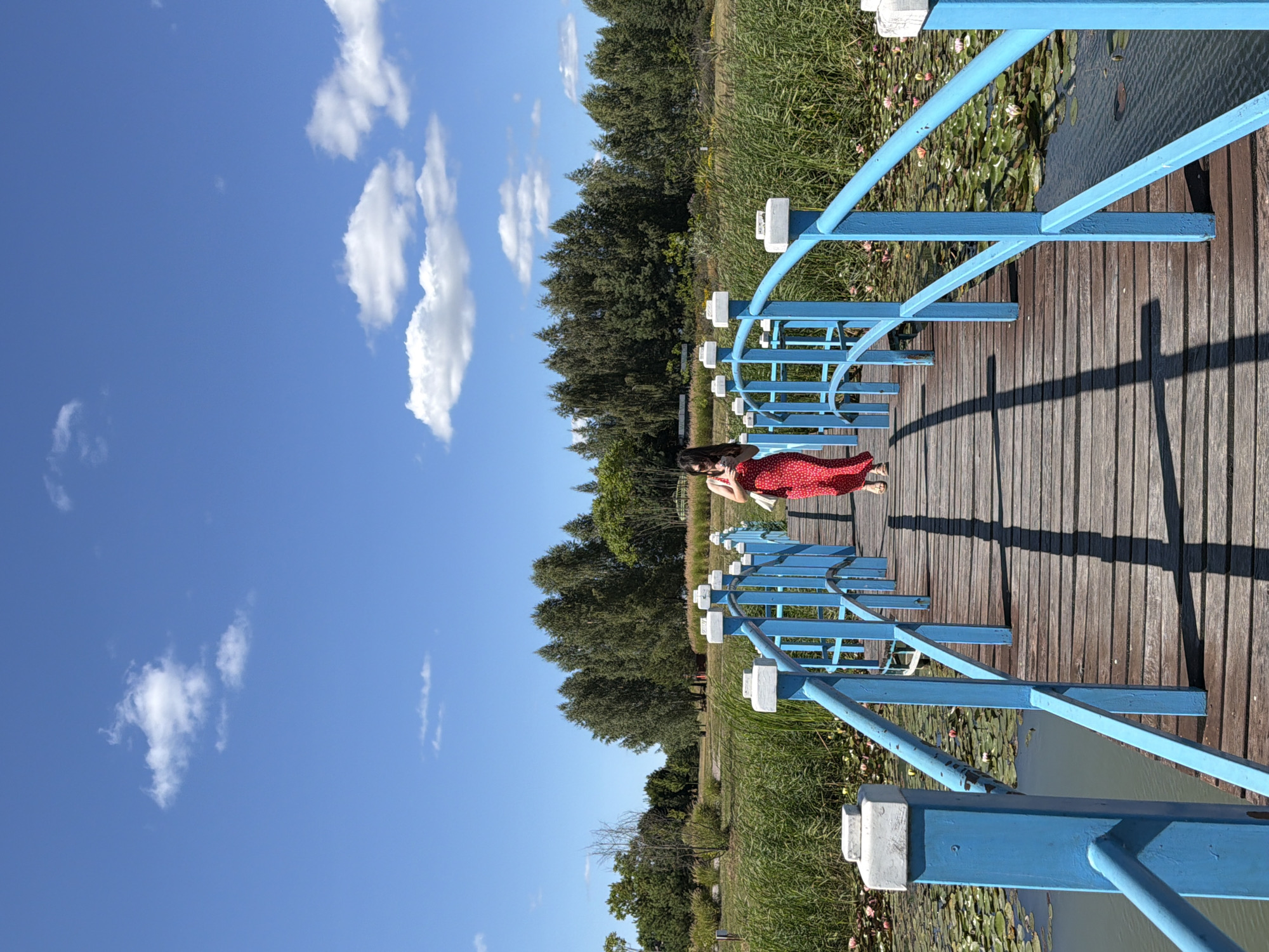A woman in a red polka dot dress walks across a wooden bridge with bright blue railings over a pond filled with water lilies. She is holding a white purse in her right hand and looking down at her phone. The bridge is lined with white decorative posts on top of the blue railings. The pond is surrounded by tall green grass and reeds, and behind that are many trees. The sky is bright blue with scattered white clouds. This scene is located in the city of Severynivka, Ukraine.