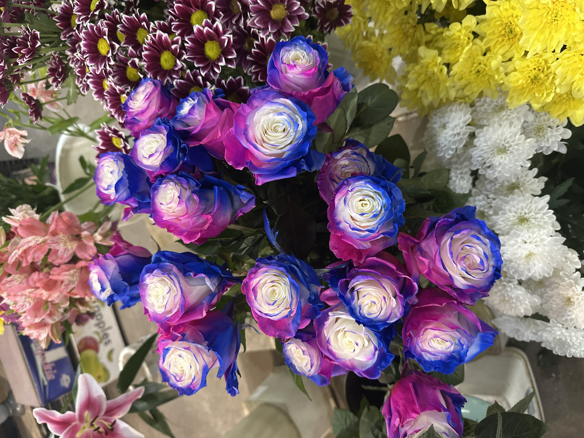 The image displays a floral arrangement with multiple types of flowers, predominantly in shades of pink, purple, blue, yellow, and white. The arrangement appears to be indoors and contains:
* Roses: Mostly white with blue and pink outer petals.
* Chrysanthemums: Available in white, yellow, and dark purple with white edges.
* Alstroemeria: Light pink and darker pink/purple alstroemeria on the left.
The arrangement is presented in a style typical of florists' displays. This image shows flowers that could be for sale at a flower shop at a location in the city of Plovdiv, Bulgaria.