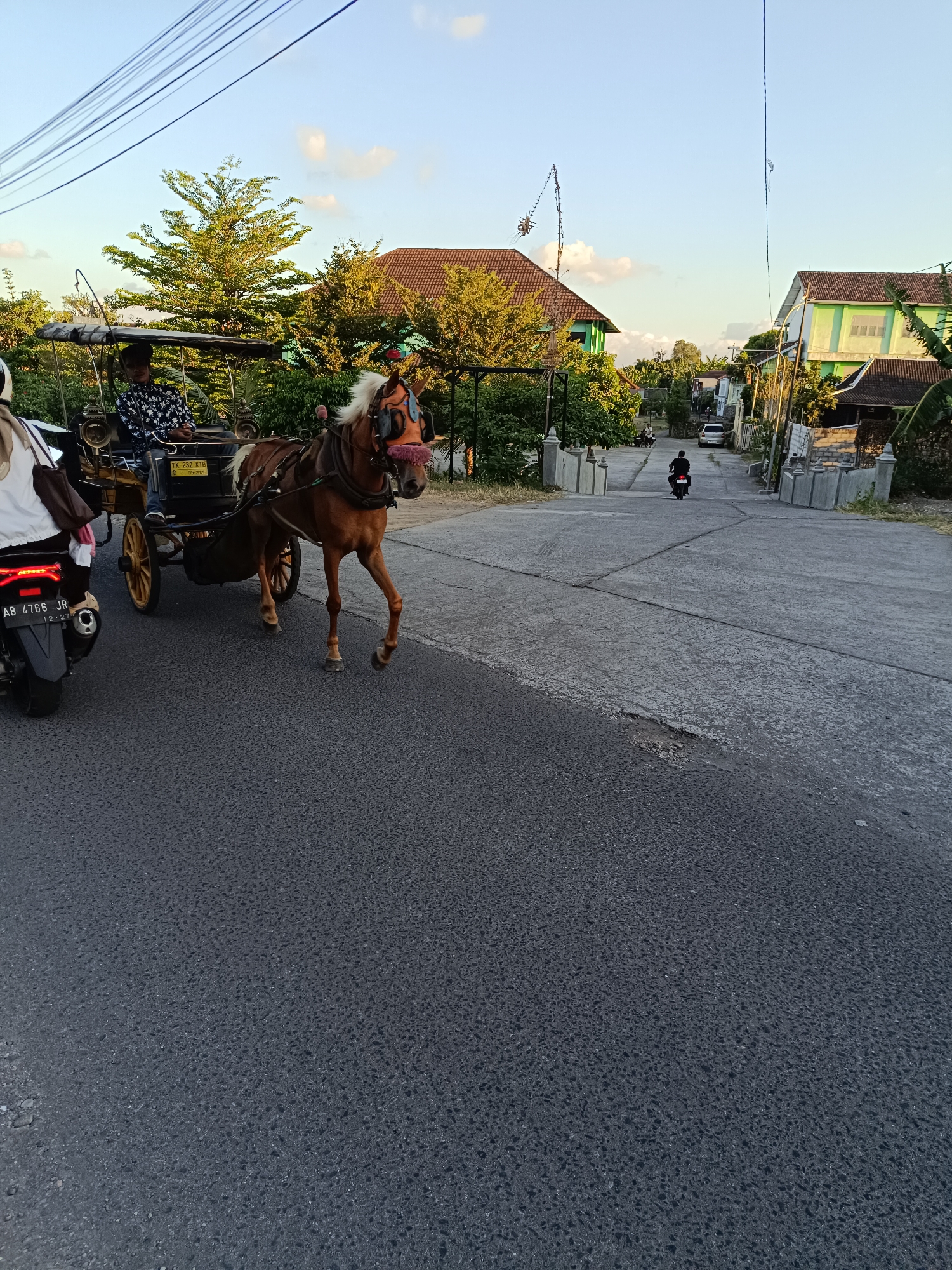 In Banguntapan, Indonesia, a horse-drawn carriage with a driver is captured on a paved road. The horse is a chestnut color and appears to be mid-stride. The carriage, a traditional "andong," is dark in color and has wooden wheels. A man, presumably the driver, is seated in the carriage, wearing a dark shirt with a white pattern. To the left of the carriage, a motorcycle is partially visible, with its rear end facing the camera. The road continues into the distance, lined with trees and buildings. The sky is a light blue with a few white clouds. The overall scene depicts a common mode of transportation in rural or semi-rural Indonesian settings.