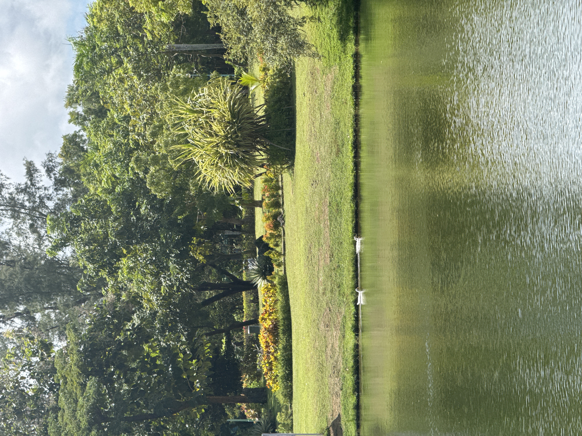 The image shows a park landscape by a body of water. Lush green trees and various plants border a grassy area adjacent to the water's edge. The water is still, reflecting the greenery along the bank. The location is a park but is otherwise Unknown.