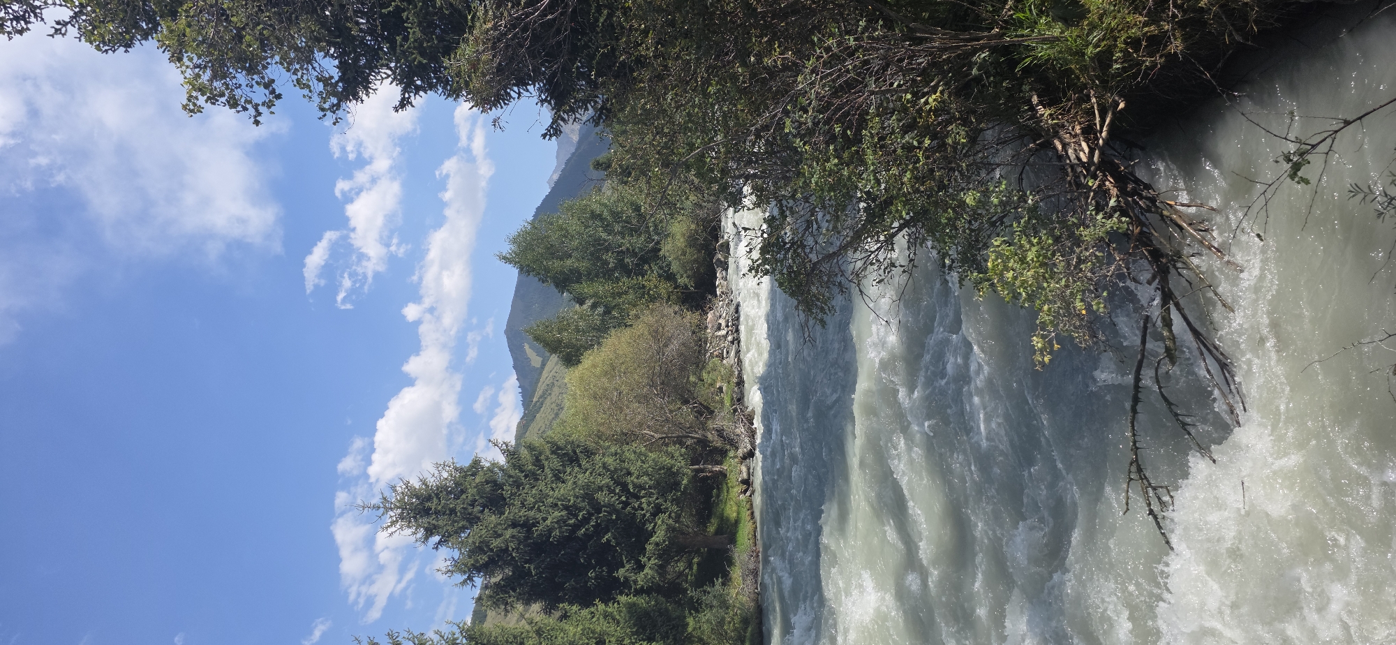 An outdoor vertical shot captures a turbulent, greyish-blue river flowing forcefully from left to right. The riverbanks are lined with lush green trees, and in the background, rolling hills are visible under a bright blue sky dotted with white clouds. A few bare branches extend into the water from the right bank. The scene appears to be a natural landscape, likely in a mountainous region. There are no people or man-made structures clearly discernible in the image, suggesting a remote or natural setting.