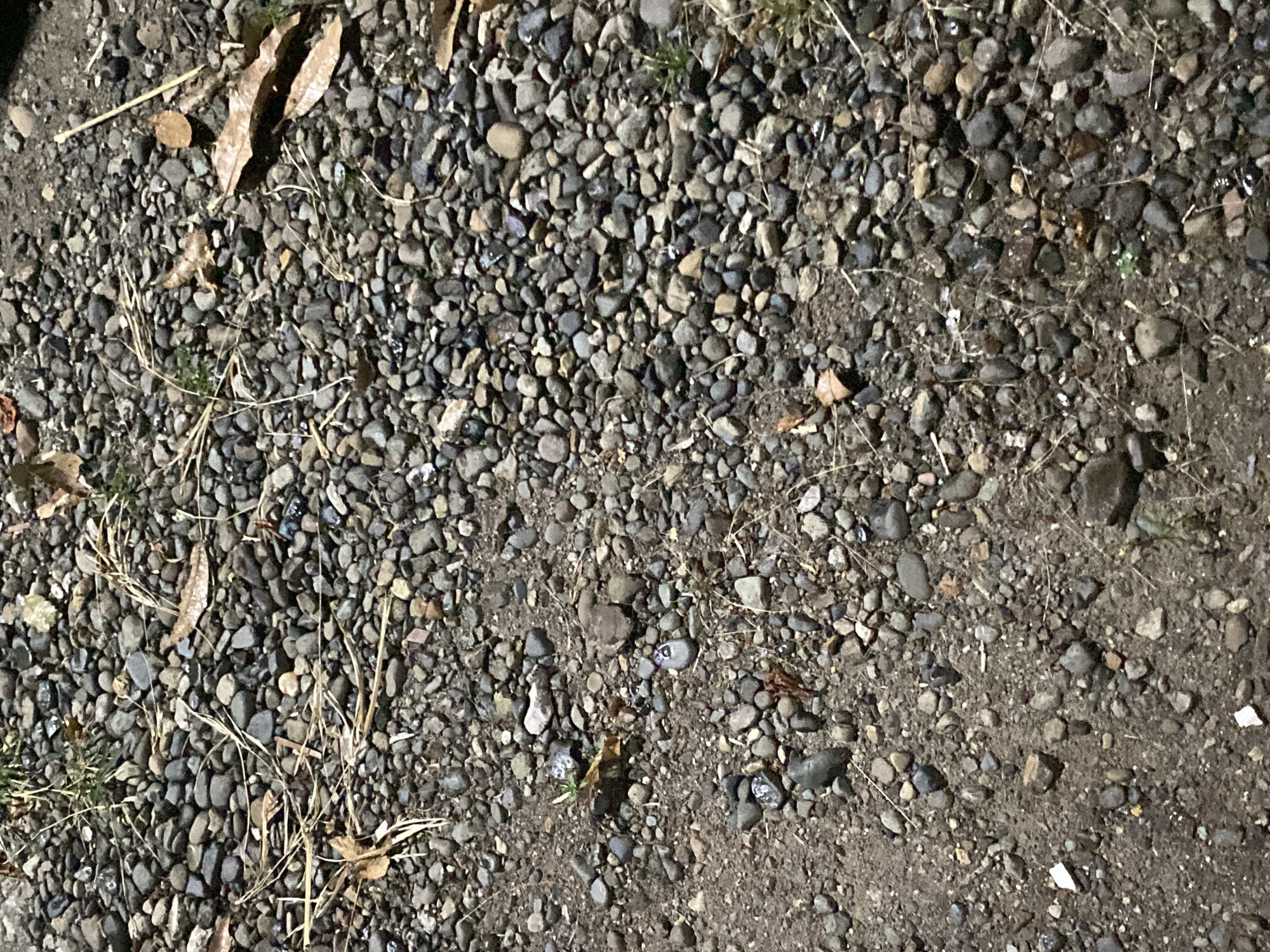 The image depicts a close-up, overhead view of a gravel and dirt ground surface. The ground is covered with numerous small, smooth, dark-colored stones, interspersed with patches of loose soil and dry grass. Several dried leaves, ranging in color from light brown to dark brown, are scattered across the surface. The lighting appears to be dim, suggesting it might be nighttime or a shaded area. There are no people, animals, or discernible structures visible in the image. The scene is consistent with an outdoor ground surface, possibly a pathway or unpaved area. The location in Lambaro Kueh, Indonesia is not evident from the visual information provided in the image.