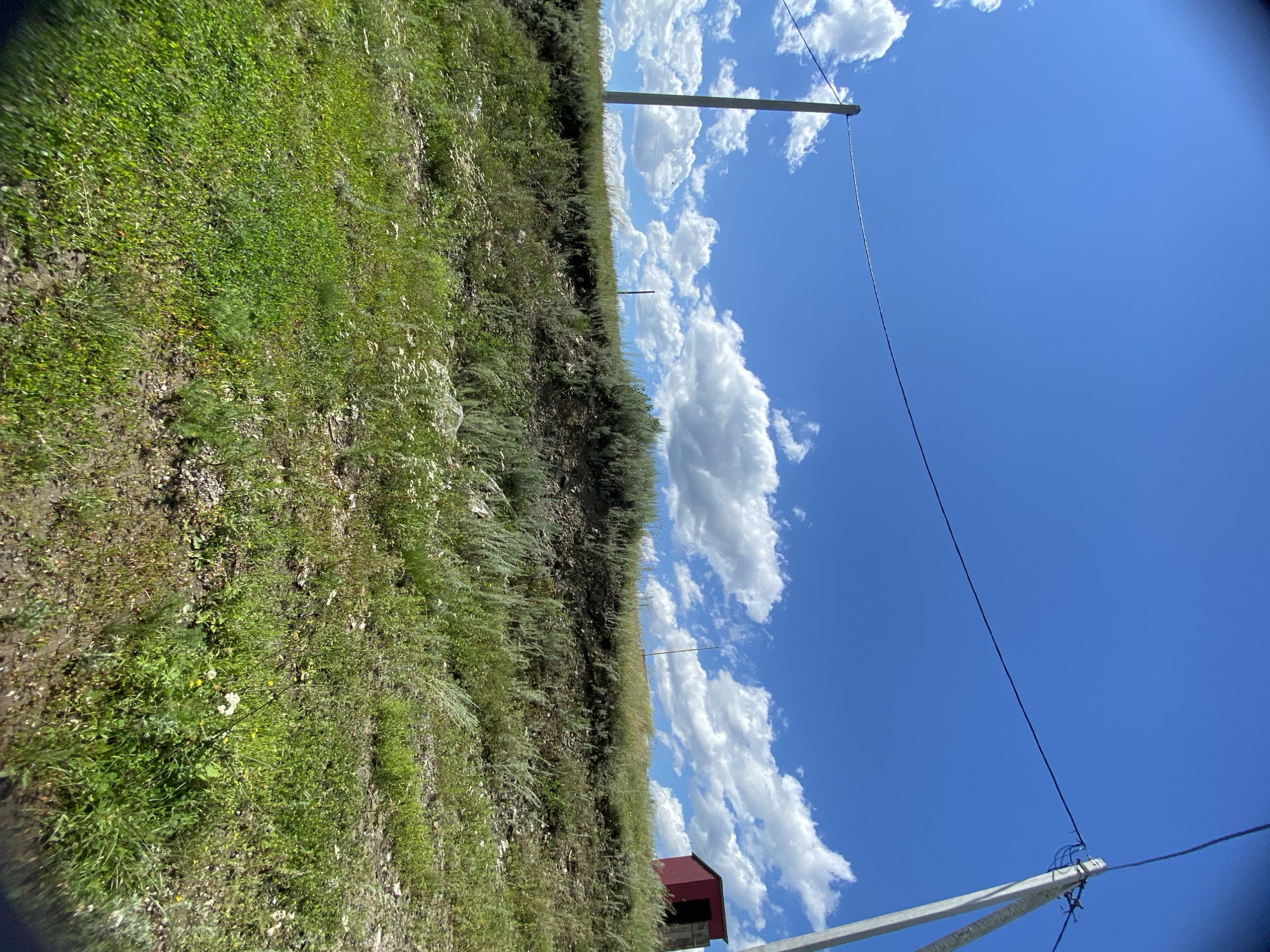 The image depicts an outdoor scene under a bright blue sky with scattered white clouds. In the foreground, a grassy slope with various green plants and some small white wildflowers dominates the lower half of the frame. A dirt path or disturbed earth is visible in the lower right portion. Two concrete utility poles with electrical wires stretched between them are present. The pole on the left is further in the background, while the one on the right is closer to the foreground and has wires connecting to it. On the top of the grassy ridge, a small, red, shed-like structure with an open doorway is situated. The environment appears to be a rural or undeveloped area.