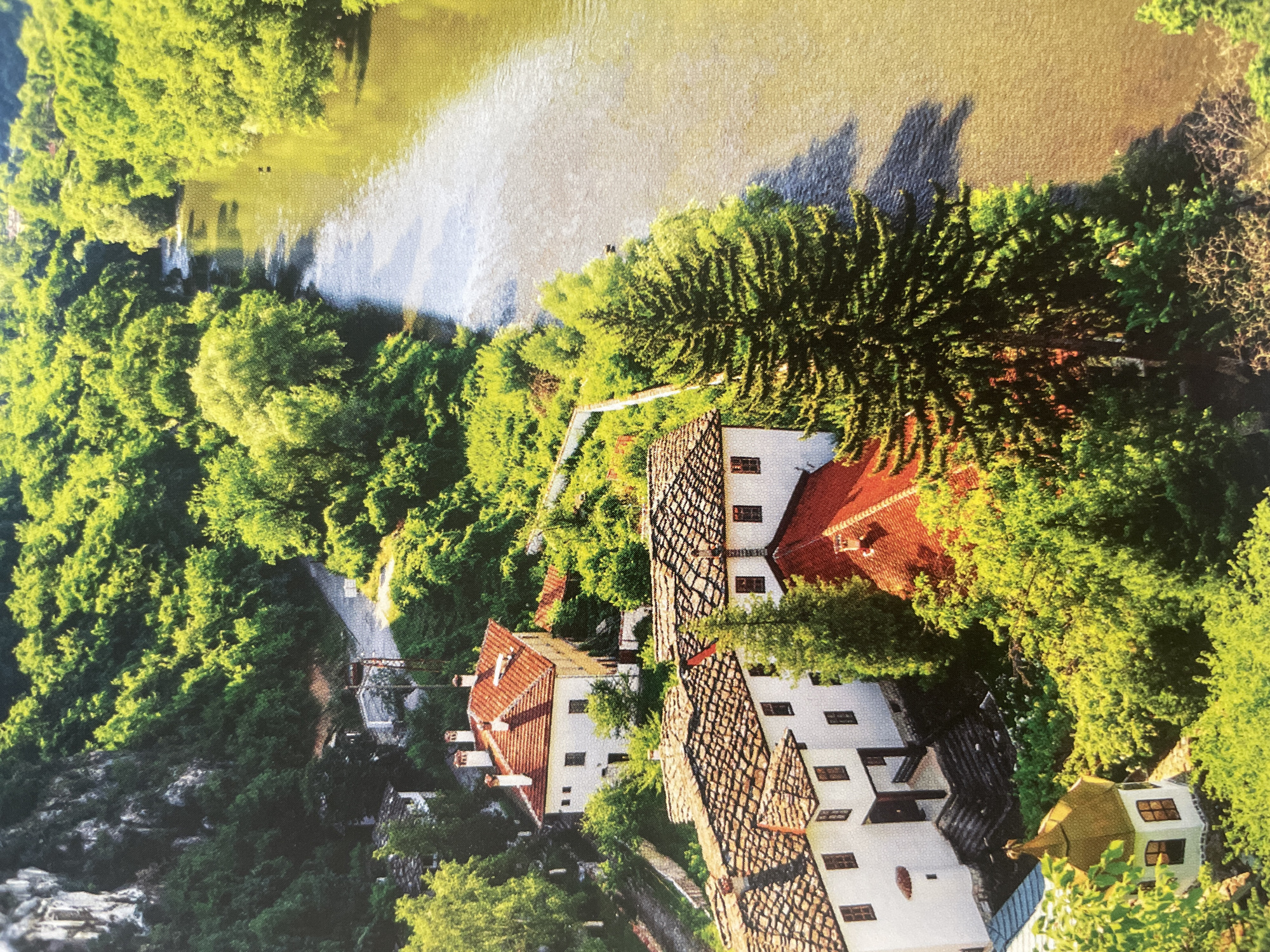 This image presents a high-angle view of a serene village or town nestled along a winding river, surrounded by abundant, lush green trees. The scene is dominated by vibrant natural elements and traditional architecture.
The wide river, appearing calm with reflections of the sky, flows across the upper portion of the landscape. Its banks are densely forested with various types of trees, including a prominent, large coniferous tree in the mid-ground. Among the greenery, several white-walled buildings with distinctive red-tiled roofs are scattered. Some roofs feature intricate, dark-tiled patterns, and many buildings have multiple windows and visible chimneys. One particular building stands out with a unique gold-colored domed or pointed roof. A winding path or road is visible, snaking through the trees on the hillside, leading down towards the river. A small, unidentifiable dark shape can be seen in the water, though its nature (e.g., person, boat, object) is unclear due to its small size and distance.
The setting is brightly lit by what appears to be late morning or early afternoon sun, casting clear shadows from the trees and structures, indicating a clear, sunny day. The overall impression is one of peaceful natural beauty and traditional European charm. No text is visible in the image. This picturesque scene is located in Sofia, Bulgaria.