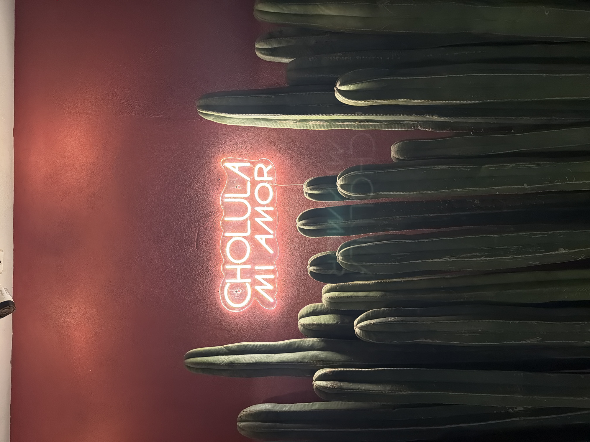 A vertical shot captures a wall with a "CHOLULA MI AMOR" neon sign next to stacked cacti. The wall is a reddish-brown hue. To the left, a portion of a white wall is visible, with an electrical outlet mounted near it. The cacti are arranged vertically along the right side of the frame.