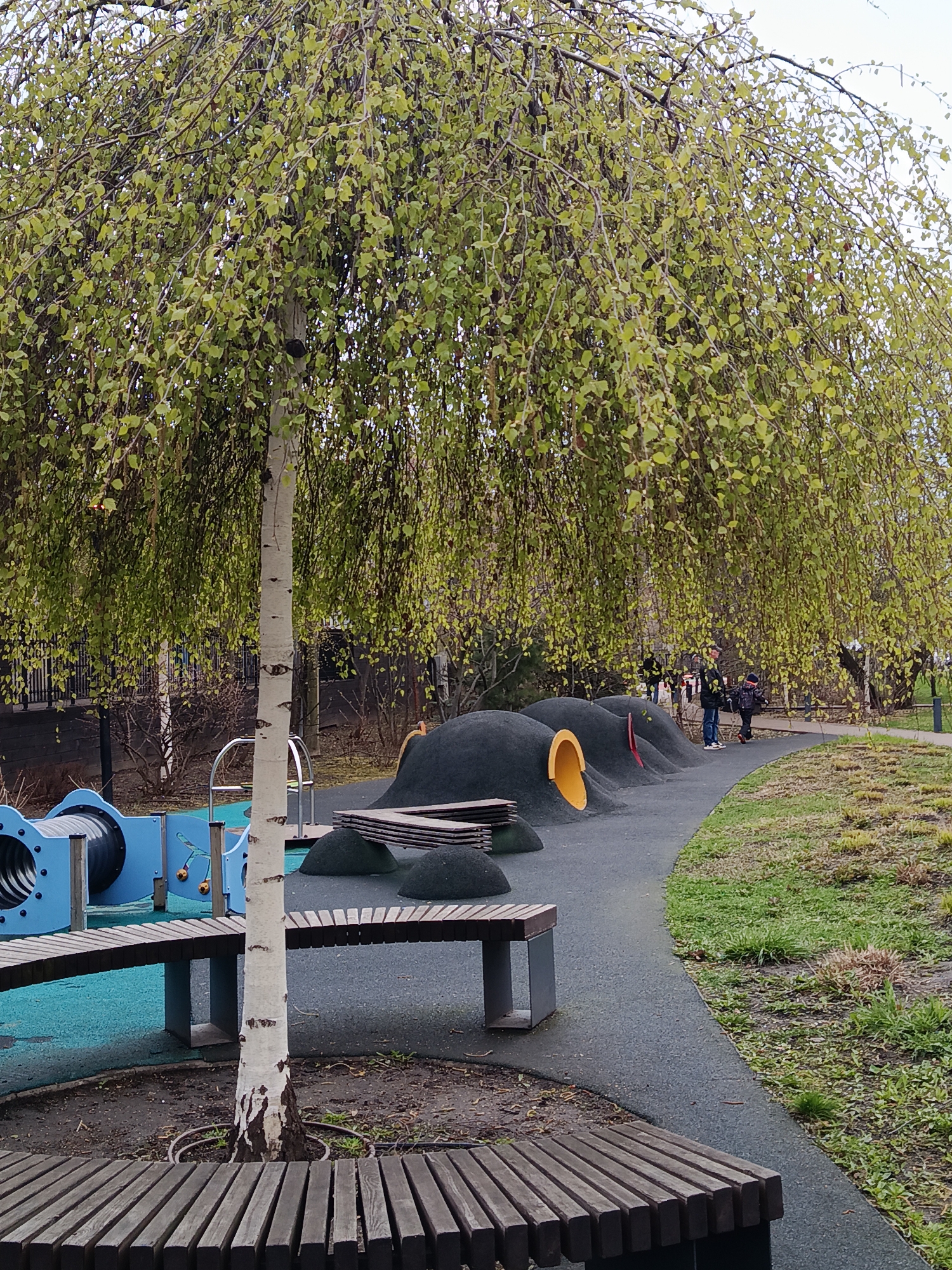 This media file captures a contemporary park or playground scene, likely in springtime. A prominent weeping birch tree, with its light green, fresh leaves and distinctive white bark, stands centrally in the foreground. A circular wooden bench is integrated around the base of the tree.
To the left of the tree, modern playground equipment is visible, including blue tubular structures with metal rungs and a lighter blue rubberized surface underneath. Further into the background on the right, the playground features dark grey, undulating rubber mounds with brightly colored tunnel entrances – one yellow and one red – designed for children to climb and crawl through. Several long, rectangular wooden benches are scattered across the playground area.
A dark grey paved pathway winds through the scene, separating the playground equipment from patches of sparse, somewhat dry grass and bare ground. In the mid-ground, a few people, including an adult and a child wearing jackets, are walking along the path, suggesting a leisurely stroll or visit to the park. The overall lighting is soft and diffused, indicating an overcast day. No discernible text is visible within the image. The setting suggests a well-maintained public recreational space, consistent with a modern park in an urban area like Moscow.
