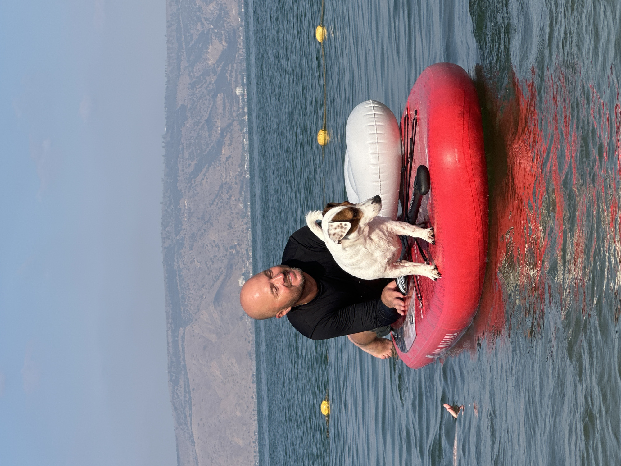 In the city of Tiberias, Israel, a bald, light-skinned man wearing a black long-sleeved shirt is lying on a red paddleboard in the Sea of Galilee. A small, white and brown dog is standing on the paddleboard in front of the man. A white inflatable pillow is also on the paddleboard, along with a black paddle. The water is choppy and blue, with yellow buoys visible in the distance. Hills with sparse vegetation form the backdrop, and the sky is a clear, light blue. A person's hand is visible reaching out of the water to the left of the paddleboard. The reflection of the paddleboard is visible in the water.