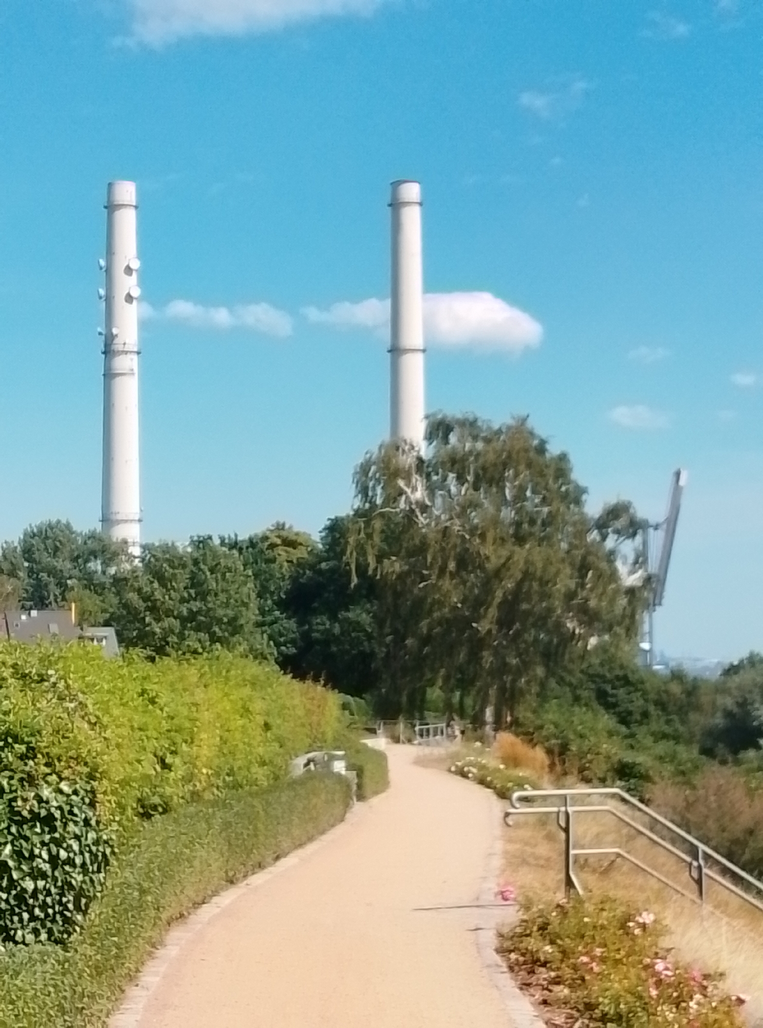 The image shows a scenic view of the Elbe River in Wedel, Germany. In the foreground, a paved walking path curves through lush greenery and a flower bed. A metal railing lines the path, providing support for visitors. In the background, two tall smokestacks stand prominently against a clear blue sky with scattered clouds. A large tree with dense foliage is positioned between the smokestacks and the walking path. A crane, likely part of industrial activity, is visible in the distance. The overall scene depicts a serene park-like environment with industrial elements in the background.