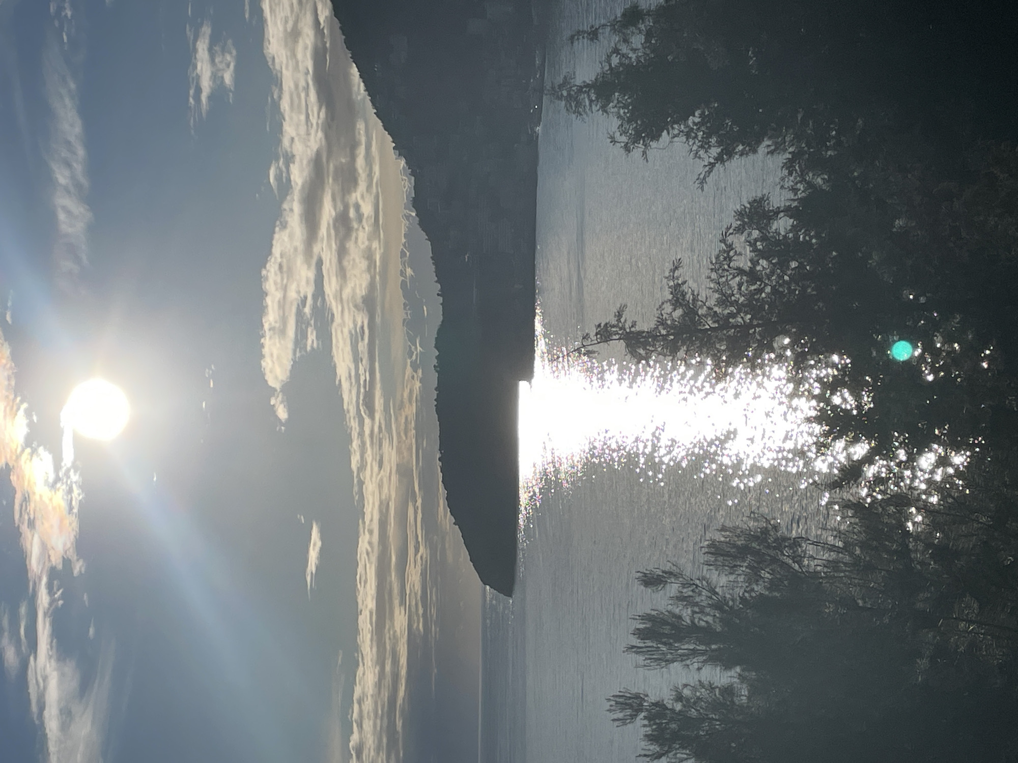 The image captures a sun-drenched coastal scene in Budva, Montenegro, observed from an elevated vantage point. The bright, underexposed sun is visible in the upper center-right, radiating intense light and lens flares across a partly cloudy sky. The upper sky exhibits a mix of blue and light grey tones, with white and grey stratocumulus clouds horizontally layered across the mid-sky. Below the sky, a vast expanse of water, identified as the Adriatic Sea, dominates the mid-ground.
A dark, silhouetted headland or peninsula projects from the left side of the frame into the sea, its contours indistinct against the glare. To the right of the image, a distant, similarly silhouetted coastline rises, revealing subtle hints of structures or buildings along its base, suggesting urban development. A prominent path of intense, shimmering sunlight extends across the water from the center towards the lower right, created by the sun's reflection on the water's surface. The immediate foreground is filled with the dark silhouettes of dense foliage and tree branches, partially obscuring the lower portions of the sea. A distinct green light artifact is present within the foreground foliage in the lower-left quadrant. The overall lighting suggests a backlit scene, likely during sunrise or sunset, with the sun casting strong silhouettes. No individuals or specific actions are discernible.