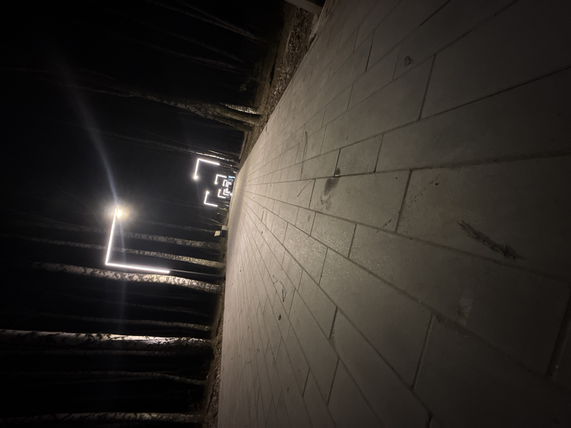The image shows a nighttime view of a pathway in Chaikovsky, Russia. The pathway is made of rectangular concrete pavers and curves gently to the left. On the left side of the path, there are rows of trees, their trunks appearing dark against the night sky. Modern, square-shaped light fixtures are positioned above the path, illuminating the scene with a cool, bright light. The perspective is low and angled, focusing on the path and the illuminated trees. The atmosphere is dark and quiet.