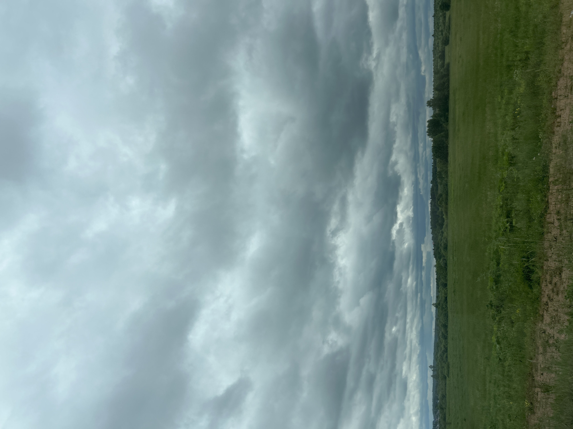 This image captures a wide-angle landscape in Совхозный, Russia, on an overcast day. The scene is bisected horizontally into a sky dominated by clouds and a foreground of green land. The upper two-thirds of the image feature a dense, unbroken expanse of grey and light blue-grey stratus clouds, indicating complete atmospheric cover with no direct sunlight. The lower third displays a vibrant green field, characterized by lush, tall grass and subtle variations in texture. A narrow band of disturbed, brownish earth is visible at the very bottom edge. Along the mid-ground horizon, a continuous line of dark green, fully-leafed deciduous trees stretches across the frame. Further in the distance, additional groups of trees are discernible, and faint outlines suggesting low-rise structures or a settlement are visible towards the left side of the distant tree line. No individuals, animals, or distinct man-made objects are present or engaged in any activity within the observable area. The environment is rural, consisting of open fields and distant woodlands under a heavily clouded sky.