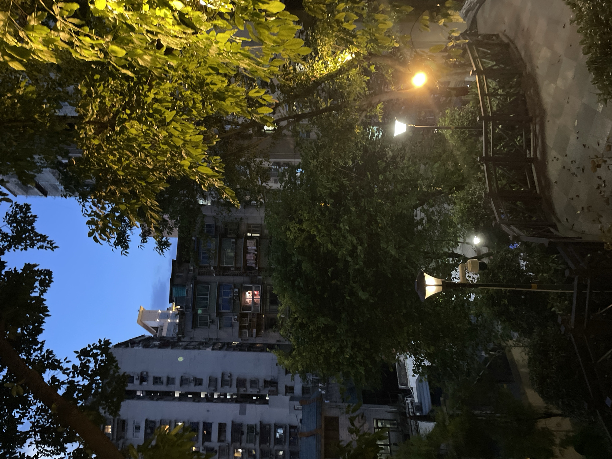 The image captures a nighttime scene in Yuzhong District, China, focusing on an urban park area adjacent to residential buildings. In the foreground, a paved pathway curves to the right, bordered by a dark wooden railing. A lamppost with a warm, upward-facing light illuminates the pathway and surrounding foliage. Another lamppost is visible further down the path, also lit.
Beyond the park area, several multi-story buildings rise, some with visible windows lit from within, suggesting occupancy. The architecture appears to be typical of dense urban housing. Trees with dense foliage are strategically placed throughout the scene, with some branches extending into the foreground and others framing the view of the buildings. The sky above is a deep twilight blue. There are no people or animals clearly visible in the image. The overall impression is one of a quiet, illuminated urban outdoor space at dusk or night.