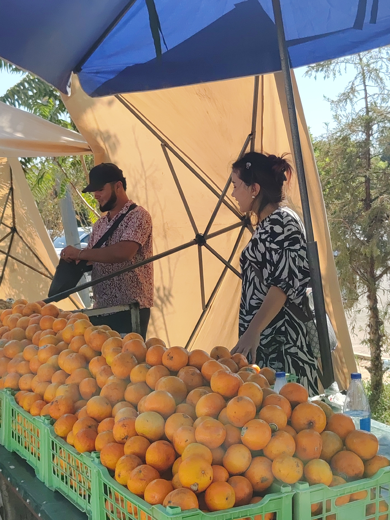 In Tashkent, Uzbekistan, a market stall displays an abundance of oranges in green plastic crates. Two individuals are present: a man wearing a patterned short-sleeved shirt, dark pants, and a black baseball cap, is seen adjusting something in a black bag he holds. A woman in a black and white patterned dress stands to his right, facing him. Behind them, two large umbrellas, one blue and one beige, provide shade. The scene is outdoors, with trees and a bright sky visible in the background, suggesting a sunny day.