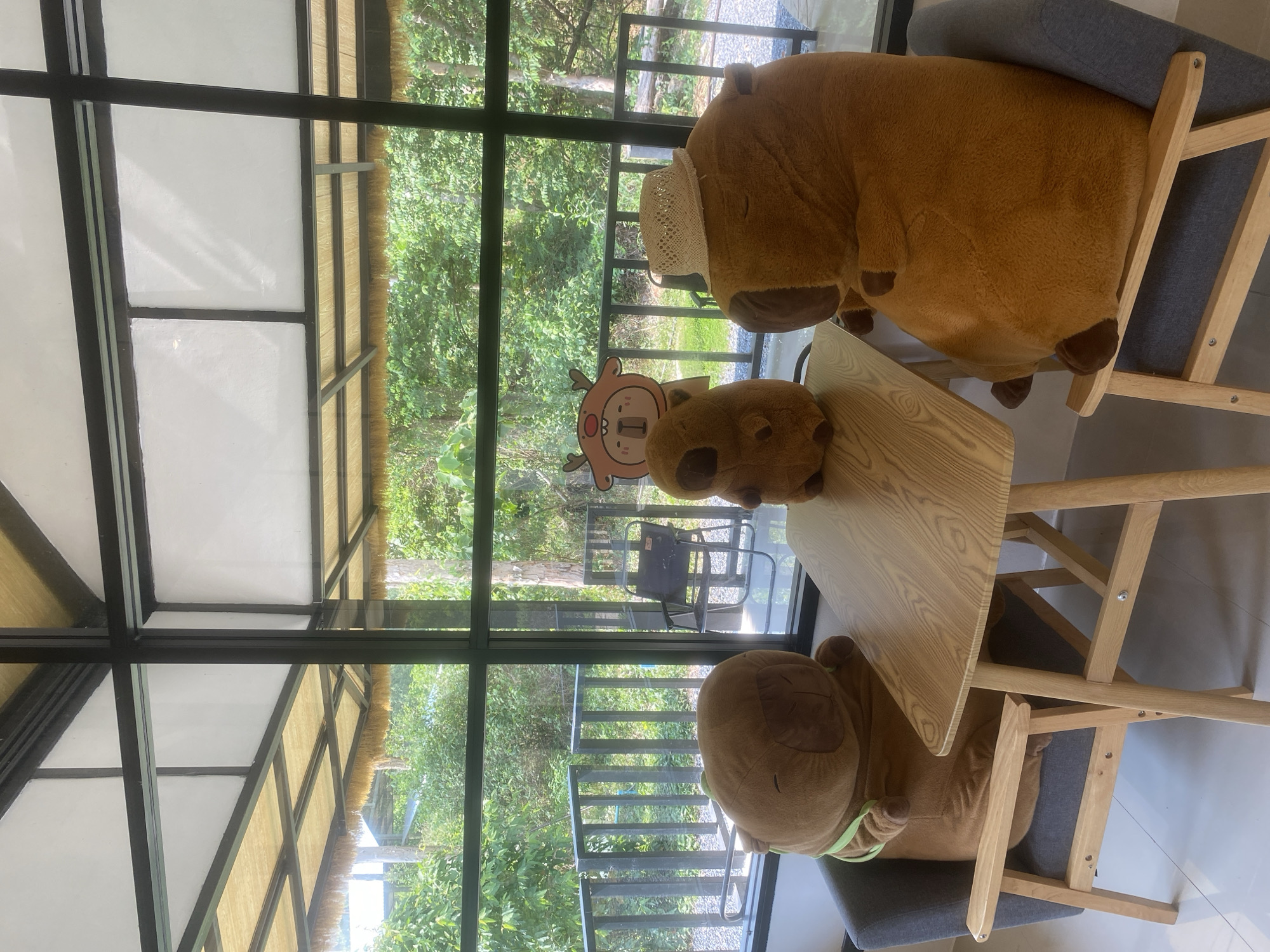 The image depicts an indoor scene, likely a cafe or restaurant in Choeng Thale, Thailand, viewed through a large, black-framed window. Three large, brown stuffed animals, resembling capybaras or similar mammals, are seated at a light-colored wooden table. The chairs feature grey fabric seats and backs. One stuffed animal wears a small straw hat, and another has a light green collar.
A cartoon character sticker, appearing to be a light brown deer-like creature with antlers and a red nose, is visible on the window glass. Outside the window, a lush green landscape of dense tropical foliage, including trees and bushes, is prominent. A black metal railing suggests an outdoor patio or balcony area, and a dark-colored outdoor chair or lounger can be seen beyond it.
The interior ceiling structure on the left side of the window features white panels interspersed with what appears to be woven natural material or thatch, characteristic of tropical architecture. The scene is brightly illuminated by natural daylight, indicating daytime, likely midday or afternoon under sunny conditions. There is no human activity, and no legible text is visible in the frame.