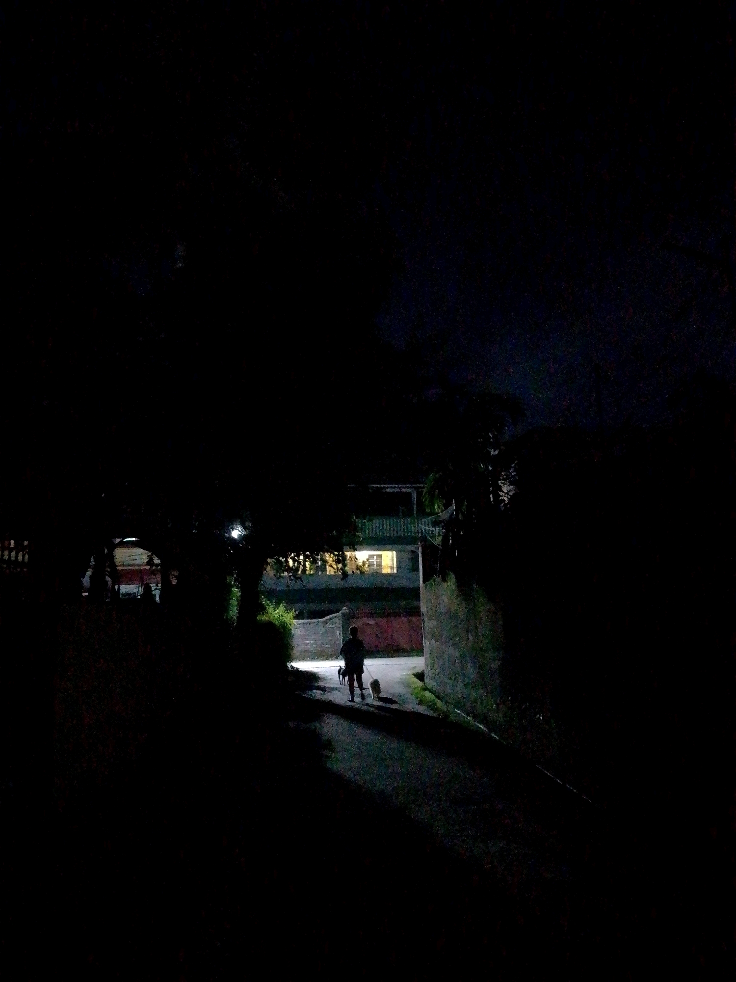 A low-light, night-time scene in the city of Siliguri, India, shows a person walking a dog on a paved pathway. The pathway is illuminated by artificial light sources, casting shadows and highlighting a portion of the ground. To the left of the pathway, dense foliage obscures much of the background. In the distance, a multi-story building with illuminated windows is visible. To the right of the pathway, a stone wall and more vegetation are present. The overall atmosphere is dark and somewhat mysterious.