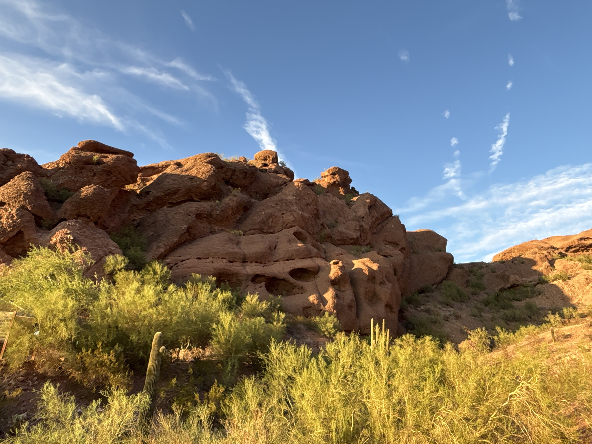 This is a wide-angle, eye-level photograph of a desert landscape in Phoenix, Arizona, United States of America. The scene is dominated by rugged, rust-colored rock formations in the upper half of the frame, with a bright blue sky filled with wispy white clouds above. The lower half of the image features lush, green desert vegetation bathed in warm sunlight, with several cacti visible. The overall impression is one of a serene, sun-drenched natural environment. There are no people or animals present in the image. The lighting suggests it is either early morning or late afternoon, given the long shadows cast by the rocks and vegetation.