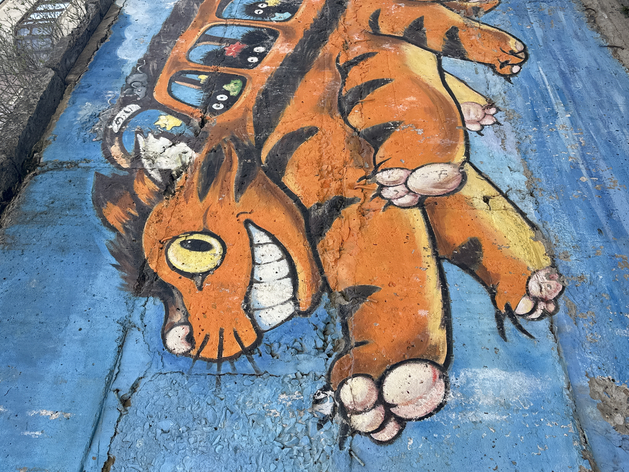 This media file captures a vibrant, cartoon-style mural painted on a rough, cracked concrete surface in Novosibirsk, Russia. The central subject is a large, orange, tiger-like creature with black stripes, depicted lying on its back. Its head, featuring a wide, open mouth with white teeth and a prominent yellow eye with a black pupil, is positioned towards the bottom left of the image. The creature has distinct paws with light-colored pads.
On the creature's back, a unique element resembling an orange bus or vehicle is painted. This "bus" has several windows, each containing small, stylized figures or shapes; one window appears to show a grey, mouse-like character, while others contain abstract forms, eyes, or a red flower-like object. The creature's posture suggests a relaxed, playful, or perhaps surprised demeanor.
The mural is set against a varying blue background, giving the impression of sky or water. The textured concrete surface beneath the paint shows significant wear, with cracks, chipping paint, and exposed aggregate, indicating the age and outdoor exposure of the artwork. The overall scene is brightly lit, suggesting it was captured during daylight hours in clear weather. There is no discernible text visible within the artwork. In the distance, seen in the cropped hints, some buildings and sparse tree branches suggest an urban or suburban outdoor setting.