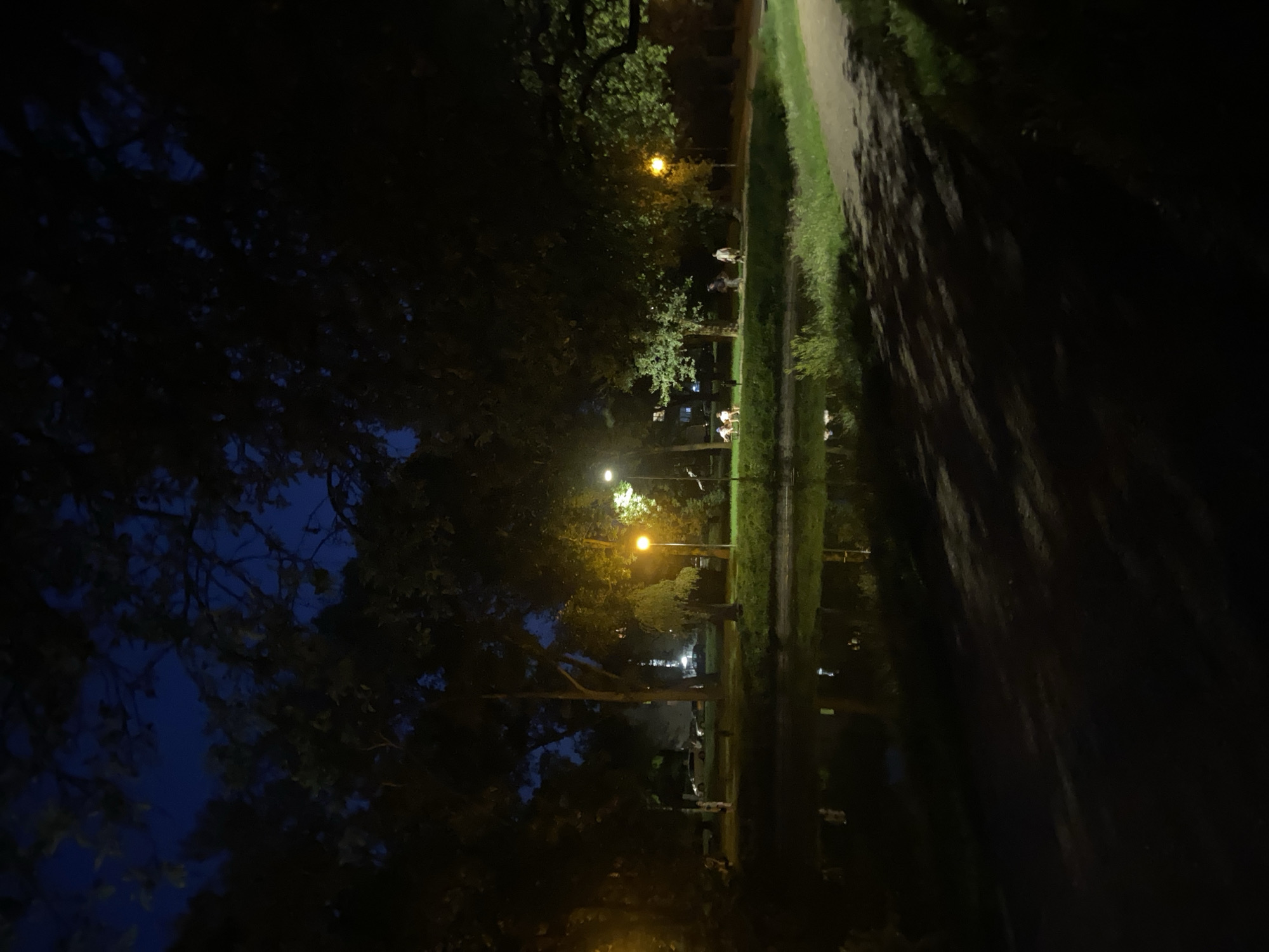 This image depicts a nighttime scene in a park in Warsaw, Poland. A body of water is in the foreground, with a grassy embankment and a paved path bordering it. Several trees are scattered throughout the park, with some illuminated by streetlights. A few individuals are visible in the distance, some appearing to be walking while others are seated on benches. A few cars are parked along a road in the background. The overall atmosphere is tranquil and dimly lit by artificial light sources.