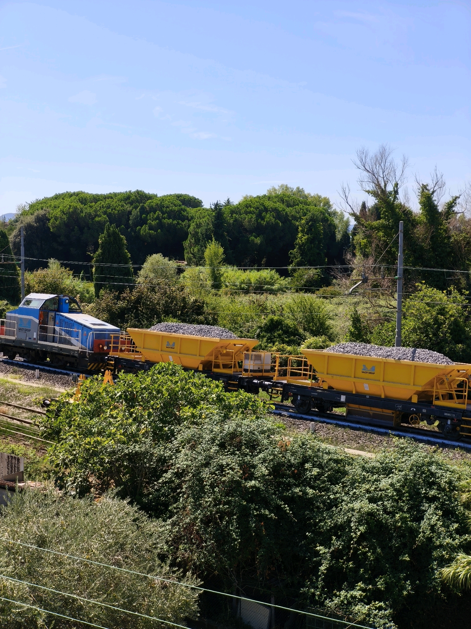 An outdoor, eye-level shot captures a blue and gray train pulling yellow cargo cars filled with grey rocks, moving along a railroad track through a landscape of lush green trees under a clear blue sky. The train is the primary focus, with the cargo cars extending from the engine. In the foreground, dense green foliage obscures a portion of the scene, suggesting the vantage point is from a slightly elevated position looking down onto the train. The background reveals more trees and the distant outline of hills. The scene appears to be located in the region of Passignano sul Trasimeno, Italy, given the vegetation and terrain.