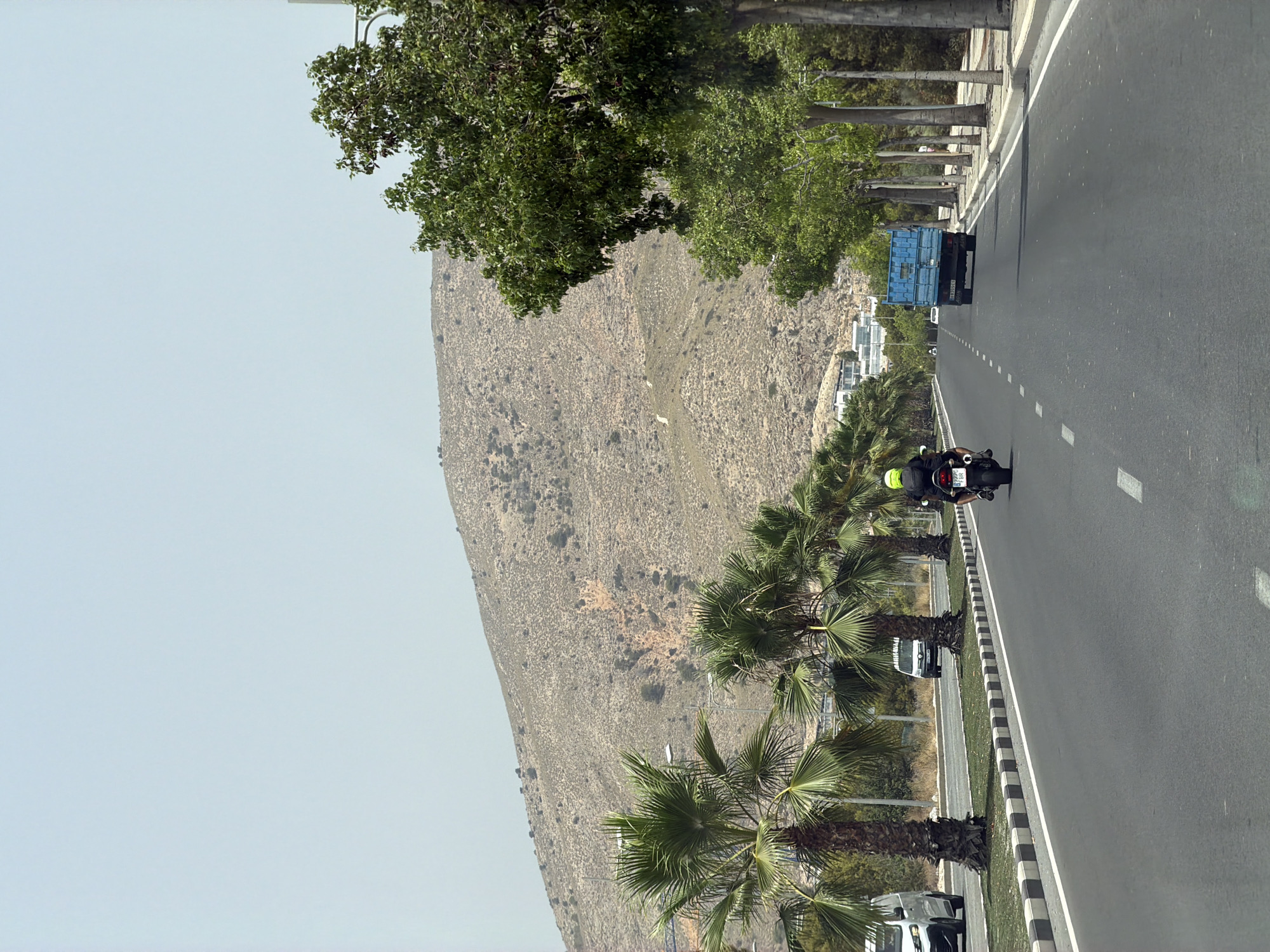This is a medium-shot, eye-level, vertical-format photograph taken on a bright, clear day in Finestrat, Spain. The scene depicts a multi-lane asphalt road with a person on a motorcycle riding away from the camera in the right lane. The motorcycle is black with a yellow helmet on the rider. A blue truck is in the lane to the left of the motorcycle. On the left side of the road, several palm trees are planted along a grassy median strip, followed by another lane of traffic with a white van. A white van is also visible on the far left side of the road. In the background, a large, arid, rocky hill slopes upwards under a pale blue sky. The hill is sparsely vegetated with scattered bushes and rocks. Towards the bottom right of the frame, a row of mature trees with green foliage lines the side of the road.