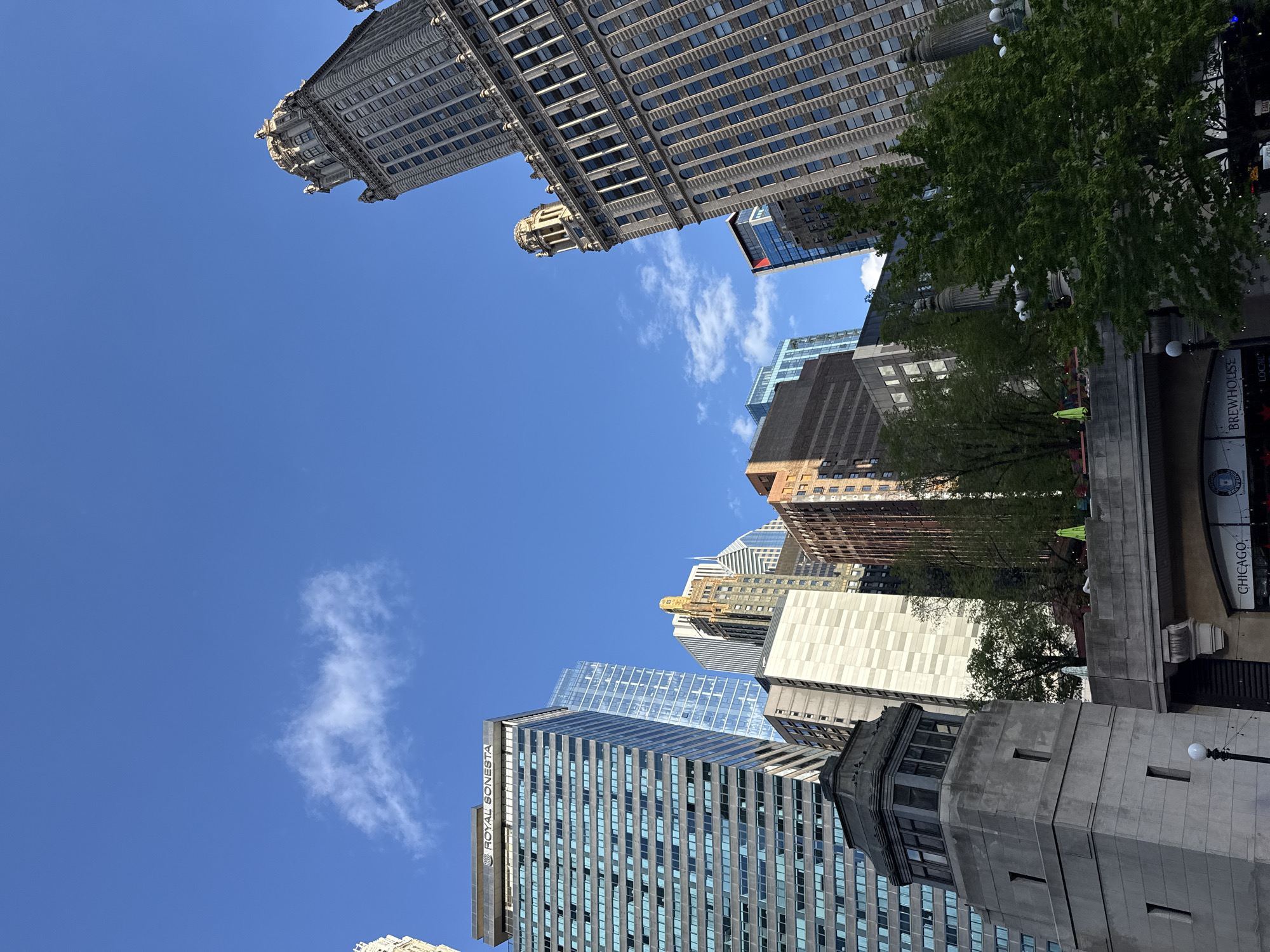 The image captures a low-angle perspective of Chicago's architectural landscape under a clear, blue sky with sparse white clouds. Prominent structures include the Wrigley Building, distinguished by its ornate, white terra cotta facade, and the Royal Sonesta building, identifiable by its signage. A variety of other skyscrapers and buildings are visible, showcasing a mix of architectural styles and heights. Trees and parts of a Brewhouse and the Chicago Riverwalk contribute to the scene. The location is Chicago, United States of America.